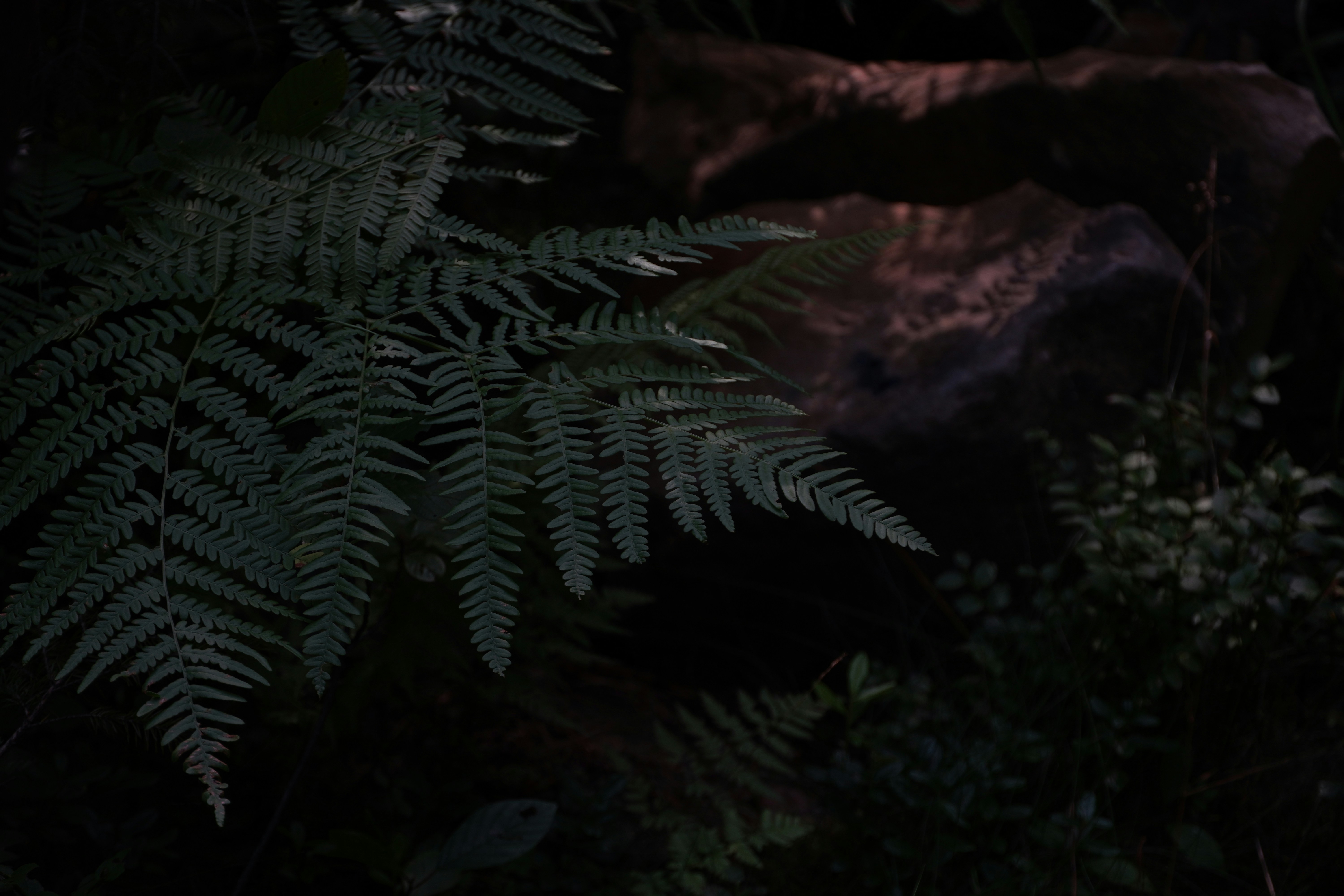 Photo by love_evgene