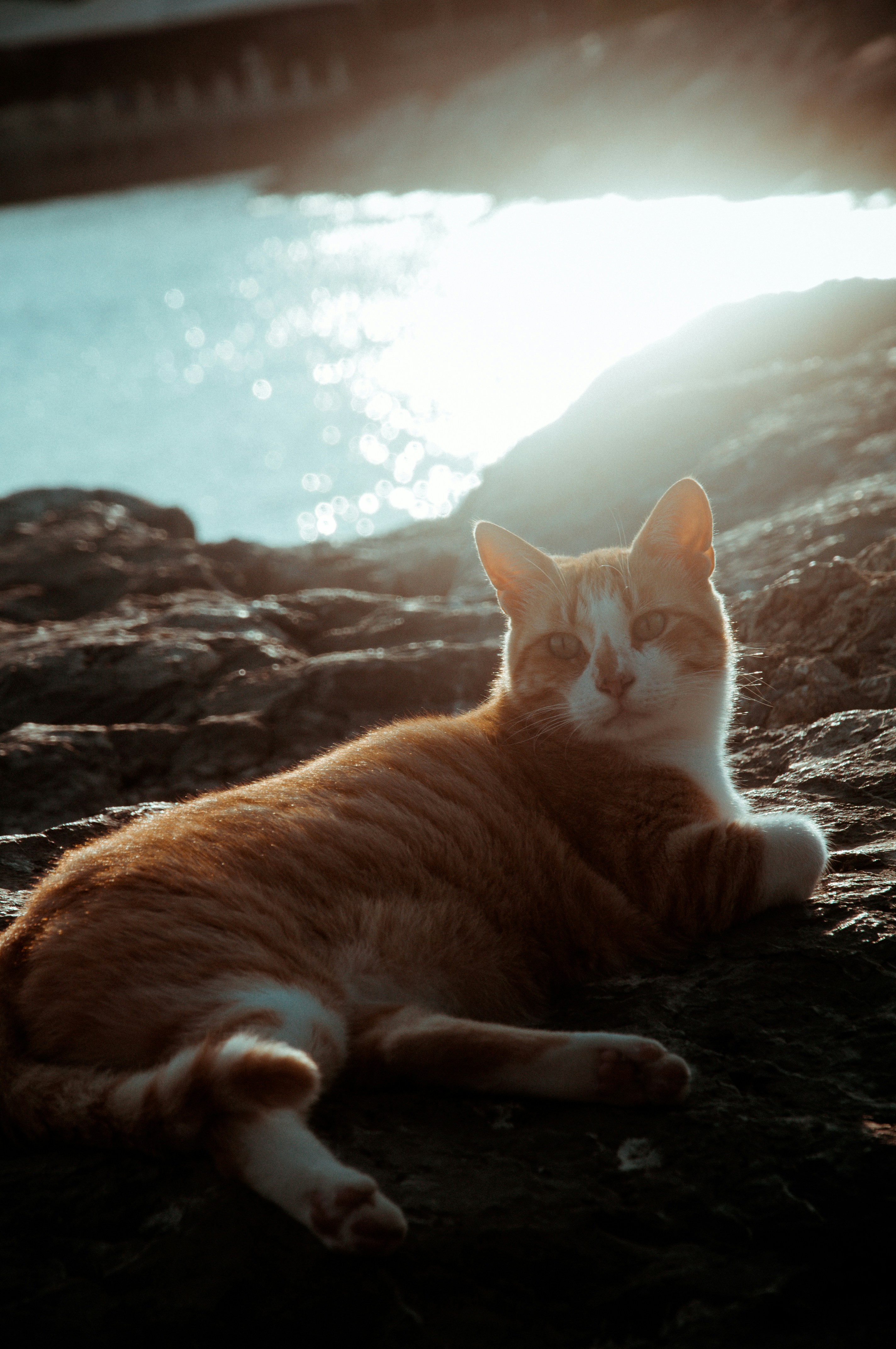 Photo by sametkurtkus