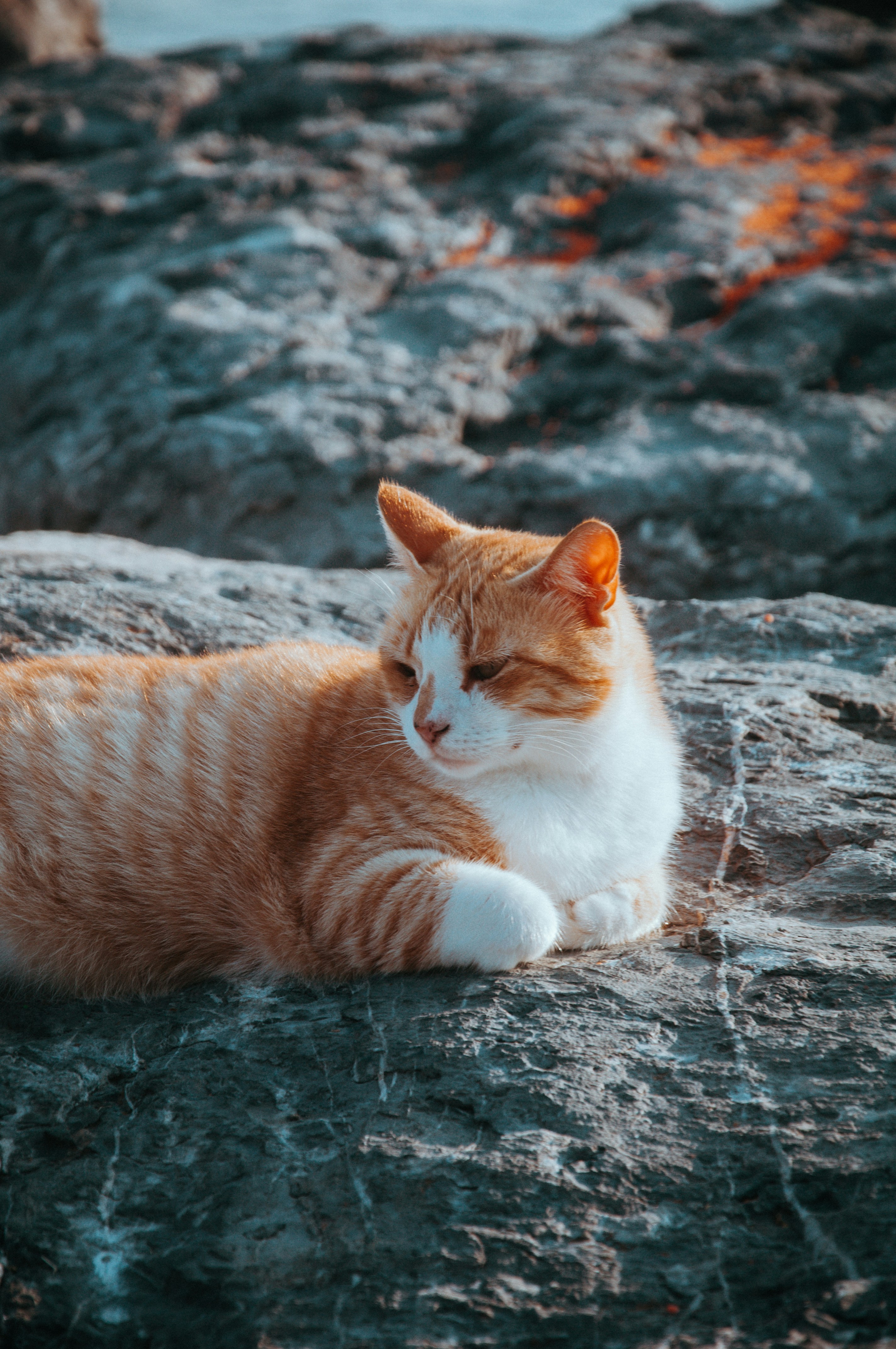 Photo by sametkurtkus