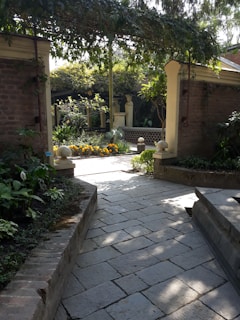 A sunlit garden with blooming flowers and a stone path.