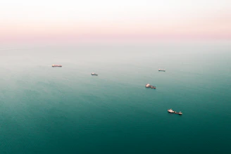 birds flying over the sea during daytime