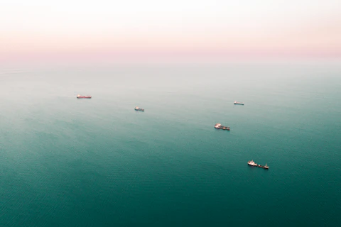 birds flying over the sea during daytime