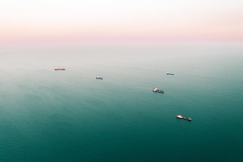 birds flying over the sea during daytime