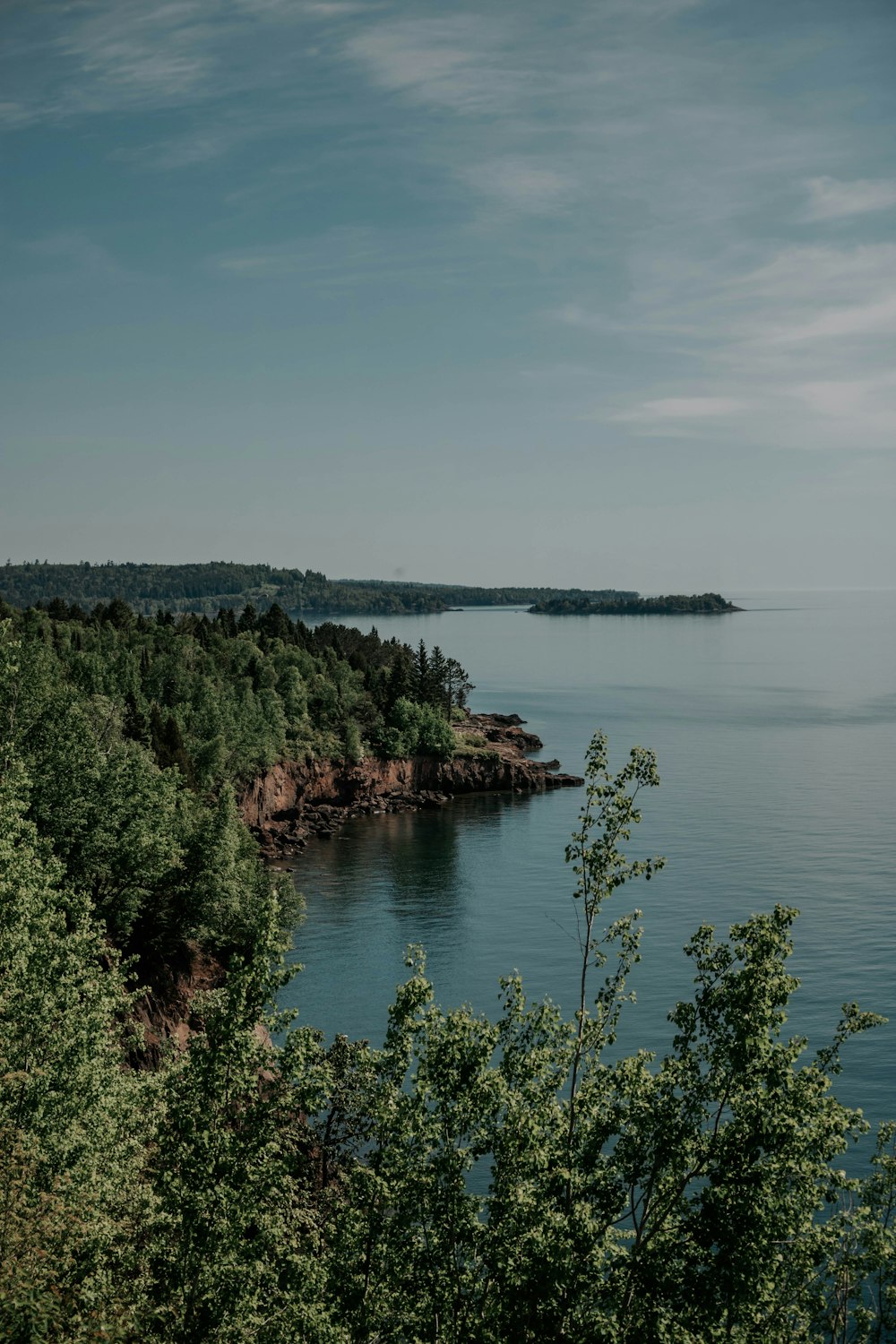 green trees near body of water during daytime