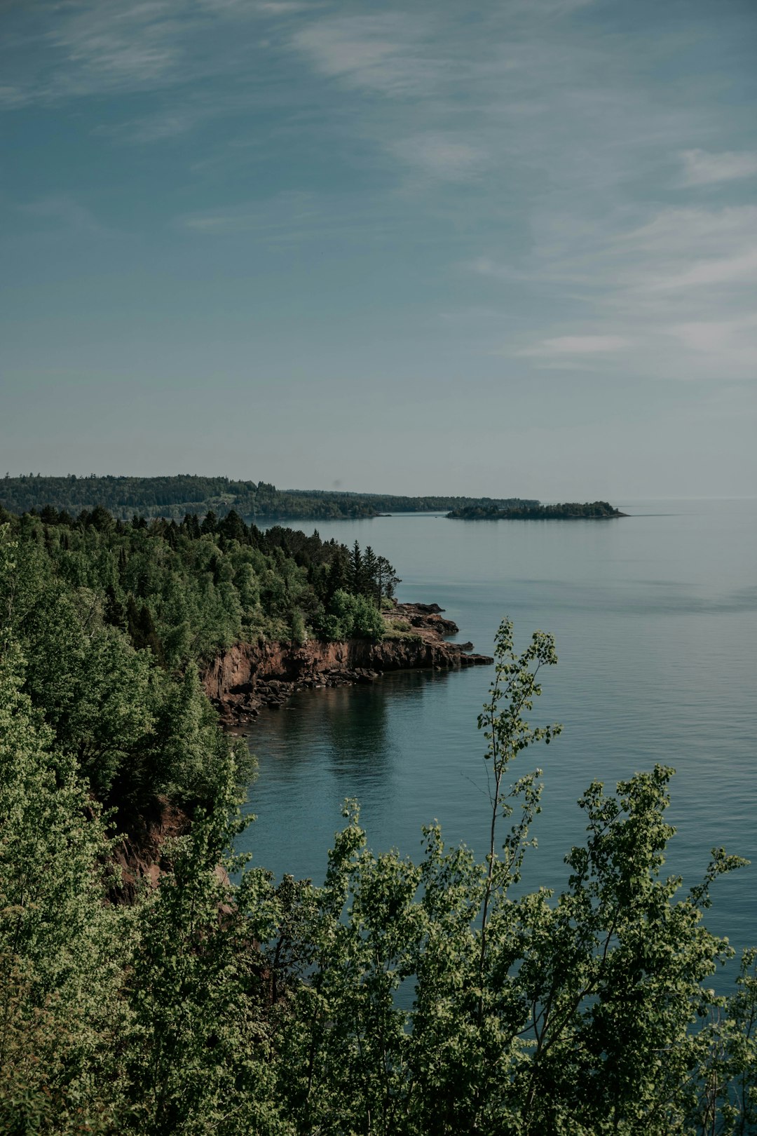 green trees near body of water during daytime