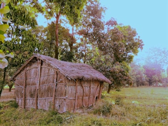 A rustic, thatched-roof hut made from natural materials is nestled in a lush green environment. Surrounded by dense trees and plants, the structure blends seamlessly with the tranquil natural setting. The scene suggests a remote, peaceful countryside location bathed in gentle, natural light.