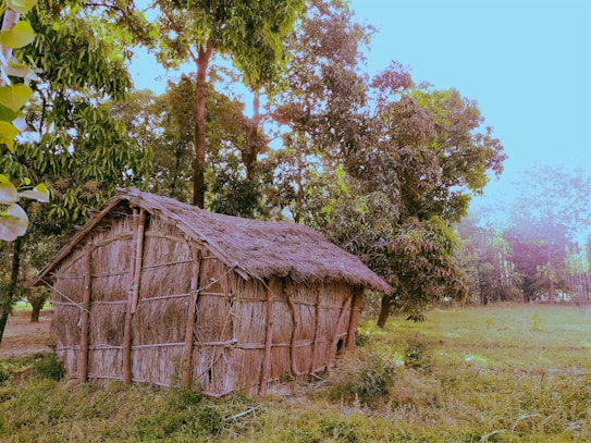 A rustic, thatched-roof hut made from natural materials is nestled in a lush green environment. Surrounded by dense trees and plants, the structure blends seamlessly with the tranquil natural setting. The scene suggests a remote, peaceful countryside location bathed in gentle, natural light.