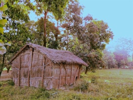 A rustic, thatched-roof hut made from natural materials is nestled in a lush green environment. Surrounded by dense trees and plants, the structure blends seamlessly with the tranquil natural setting. The scene suggests a remote, peaceful countryside location bathed in gentle, natural light.