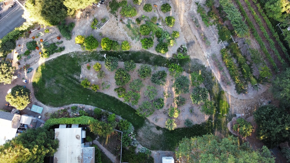 green and gray concrete road