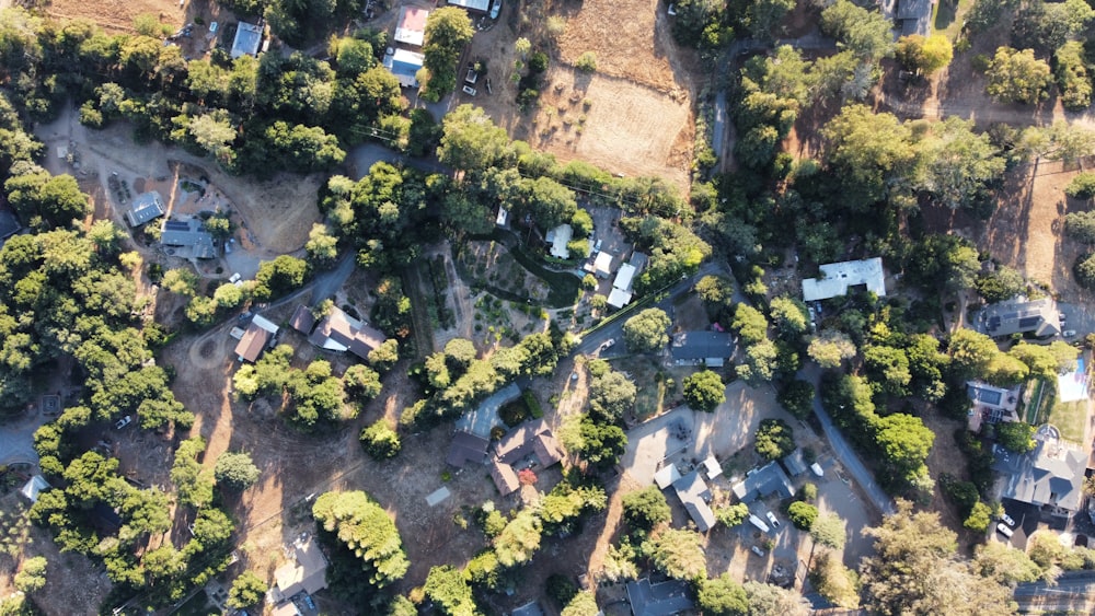 aerial view of green trees and brown houses during daytime