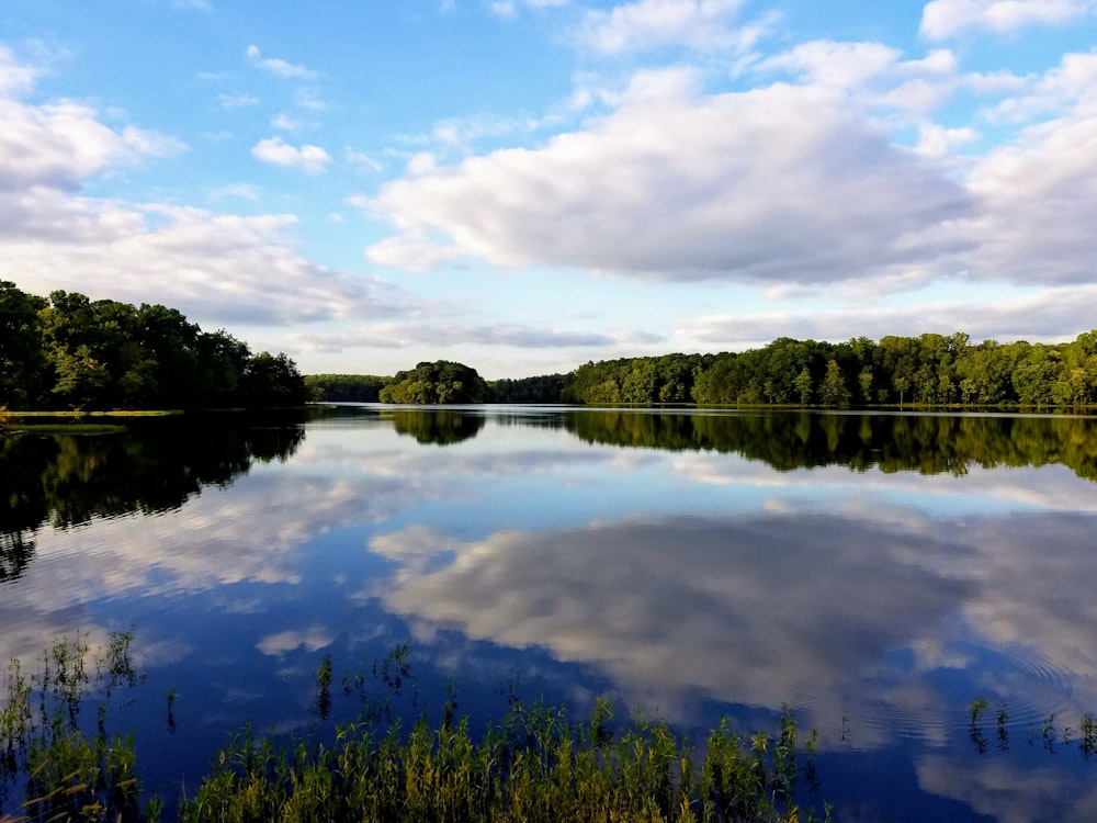 green trees beside lake under cloudy sky during daytime