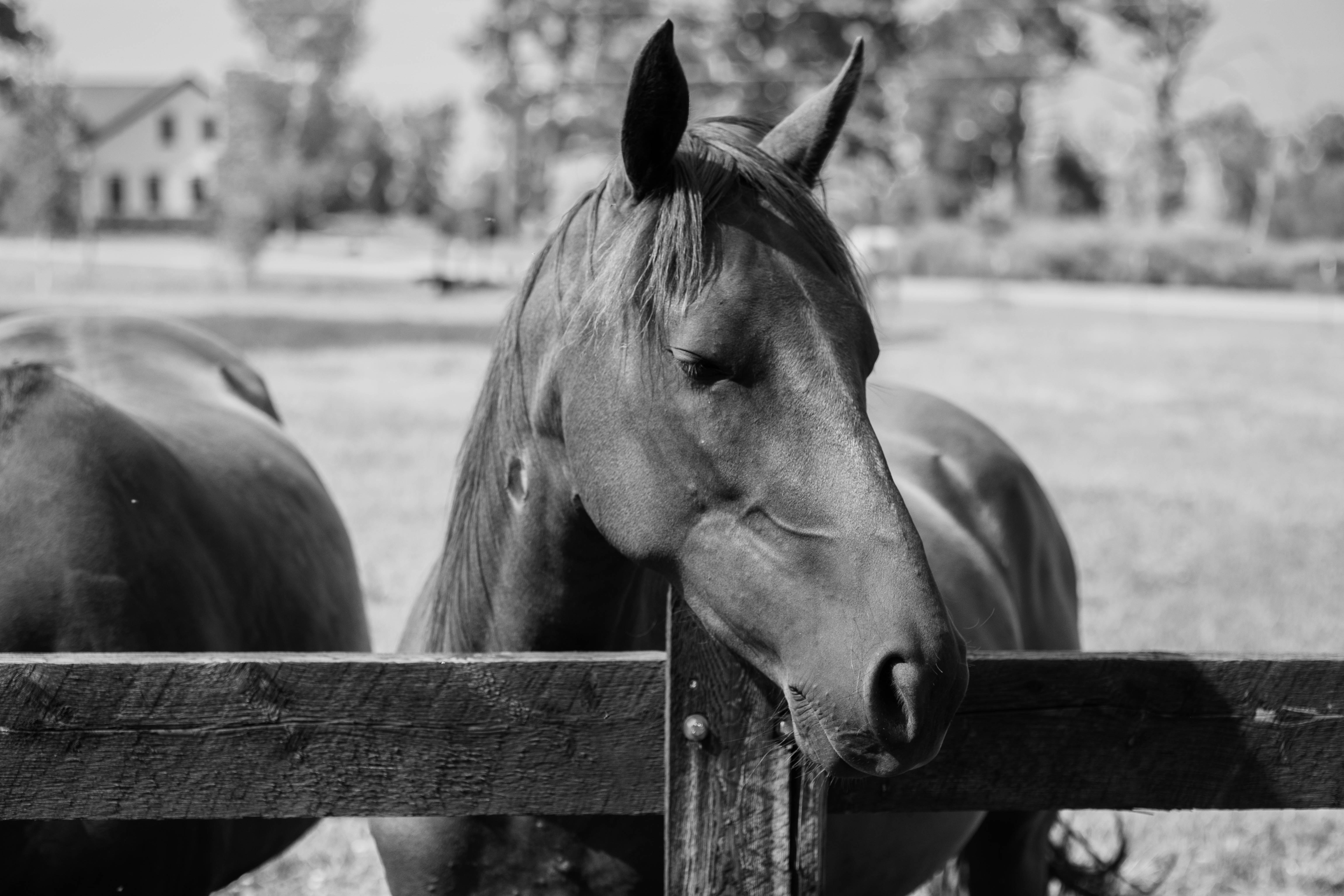 Photo by joshdixon00