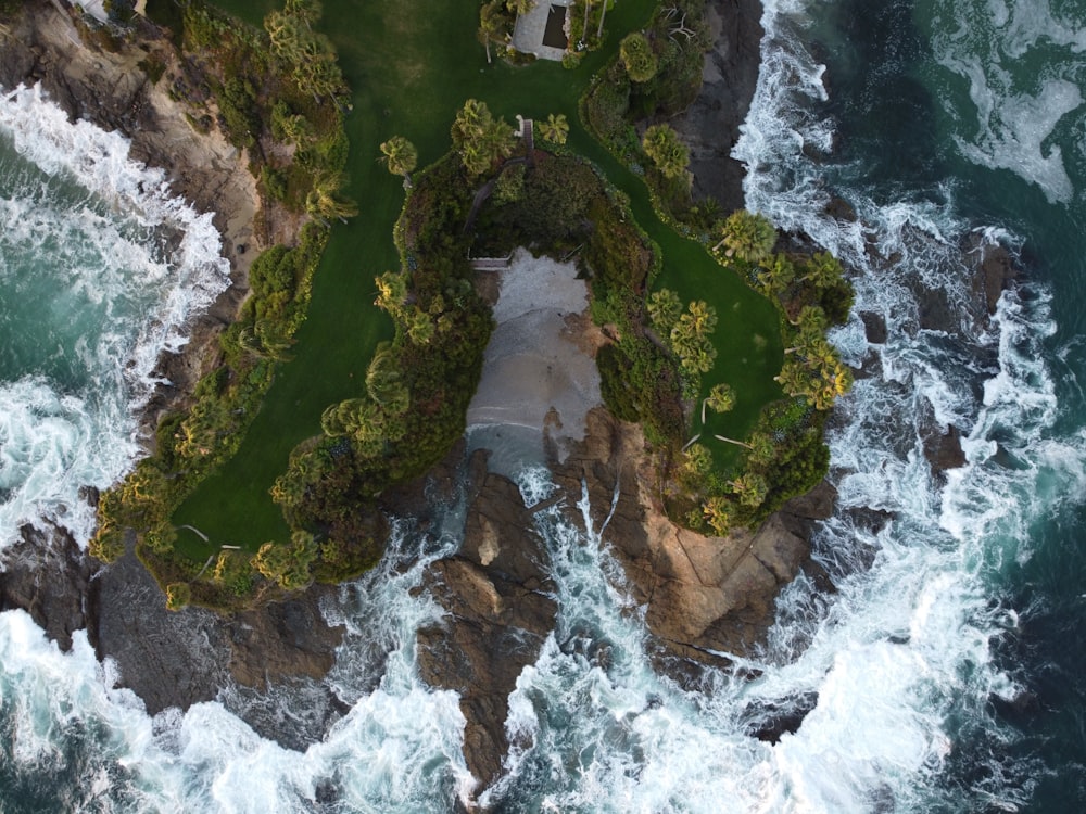 aerial view of green trees on island