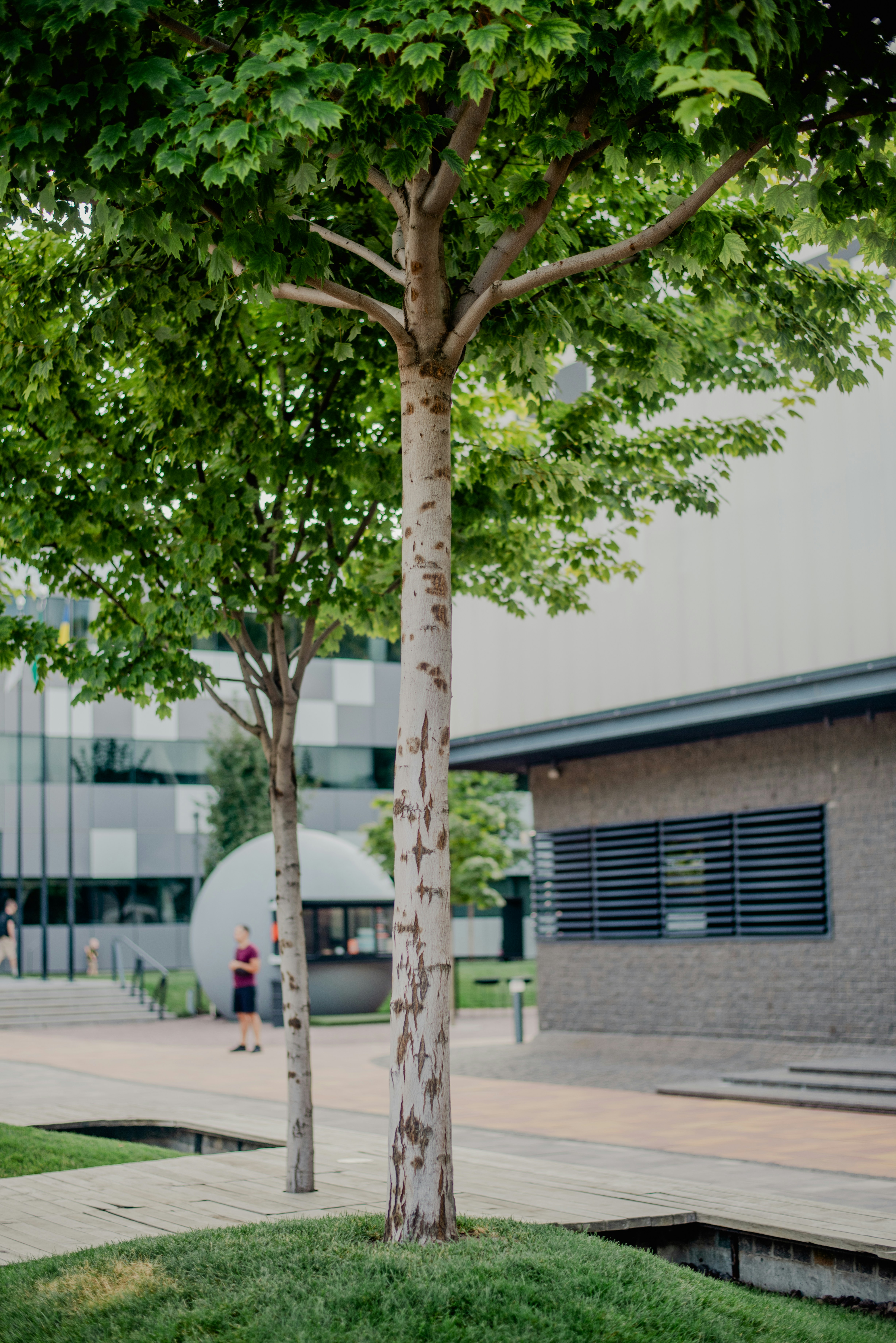 Photo by eugenivy_now