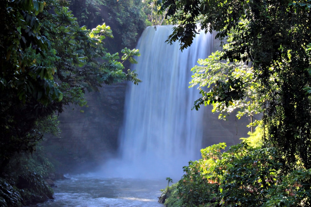 waterfalls in the middle of green plants