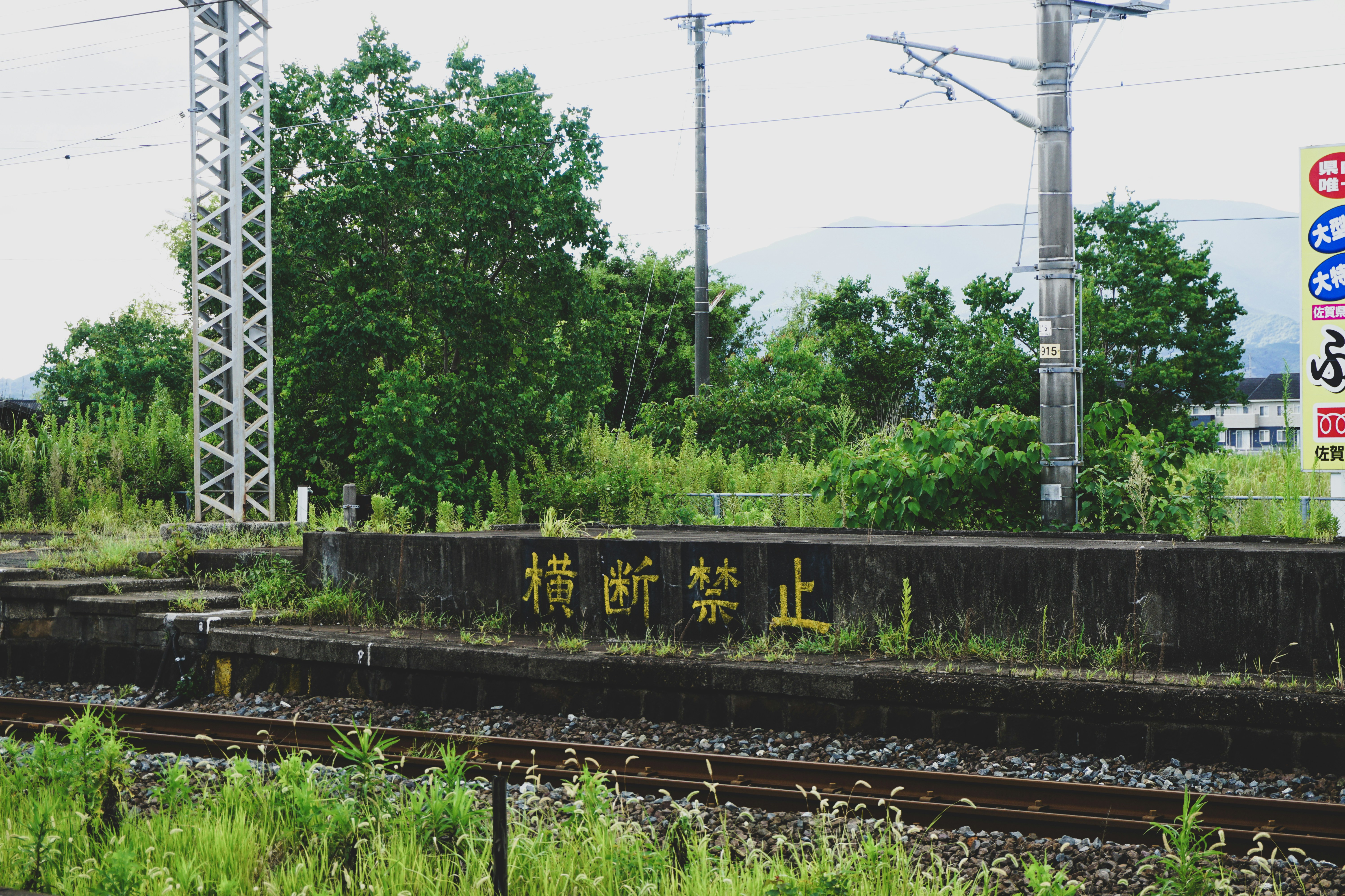 Photo by cosmonaut647