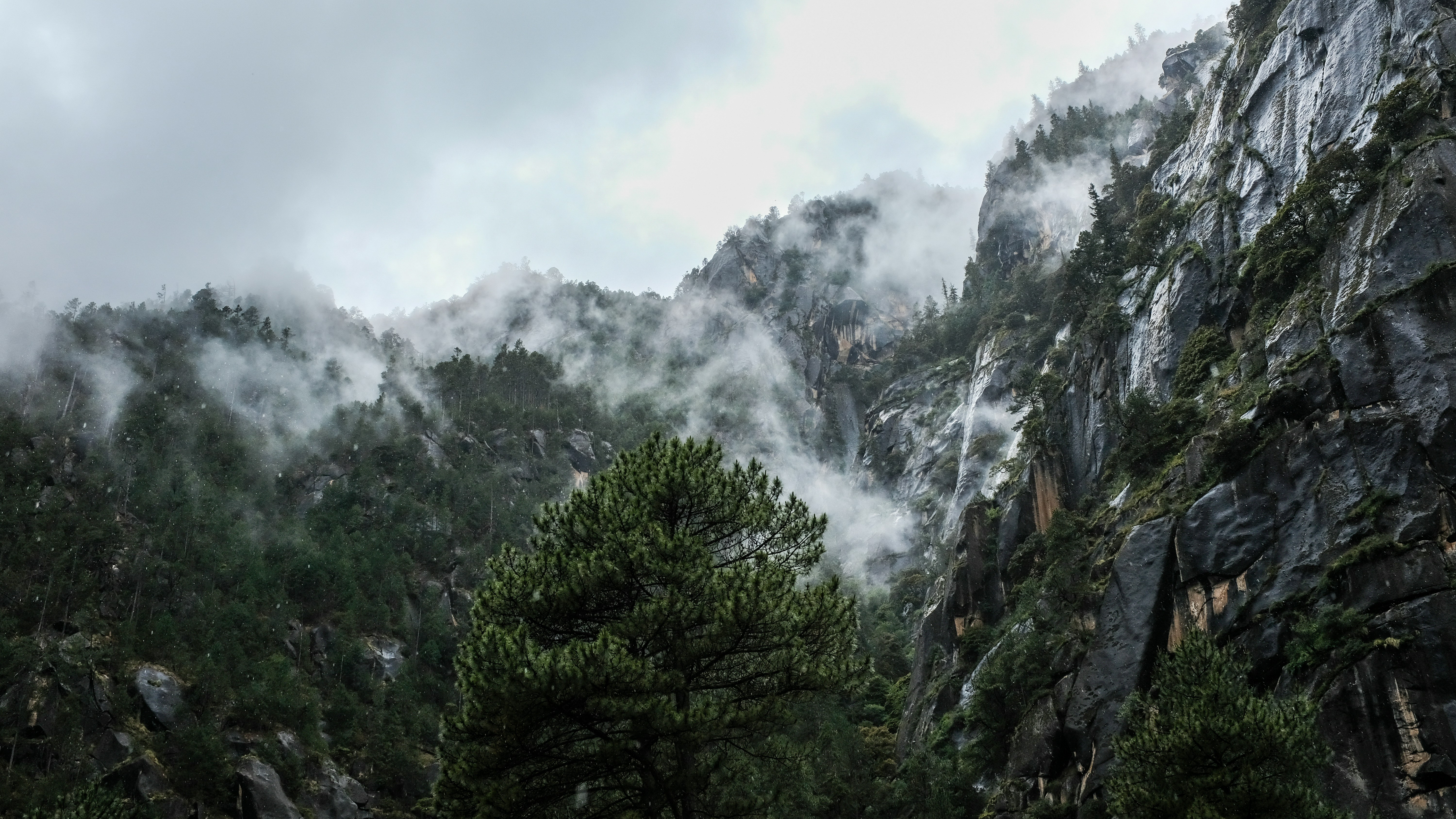 Photo by roundrobins777