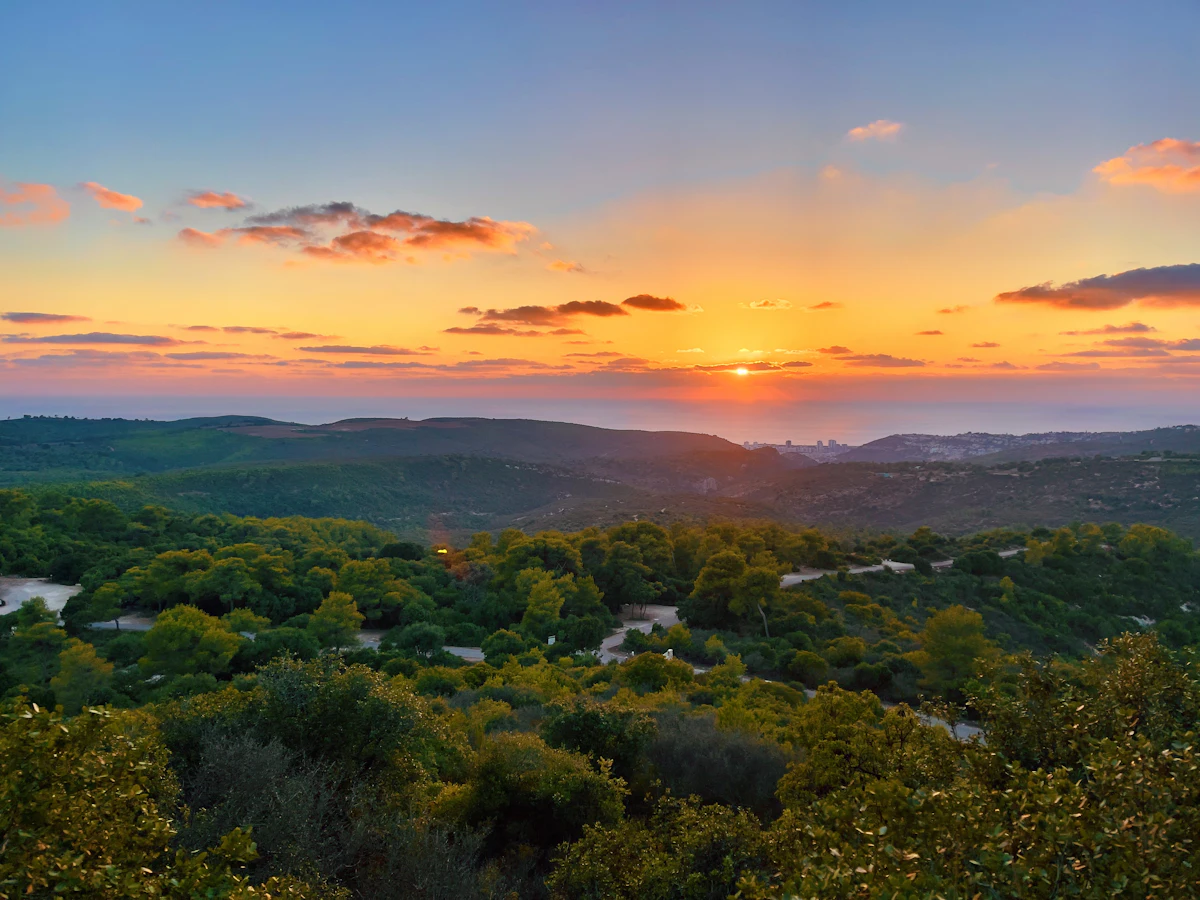 Carmel Center, Haifa