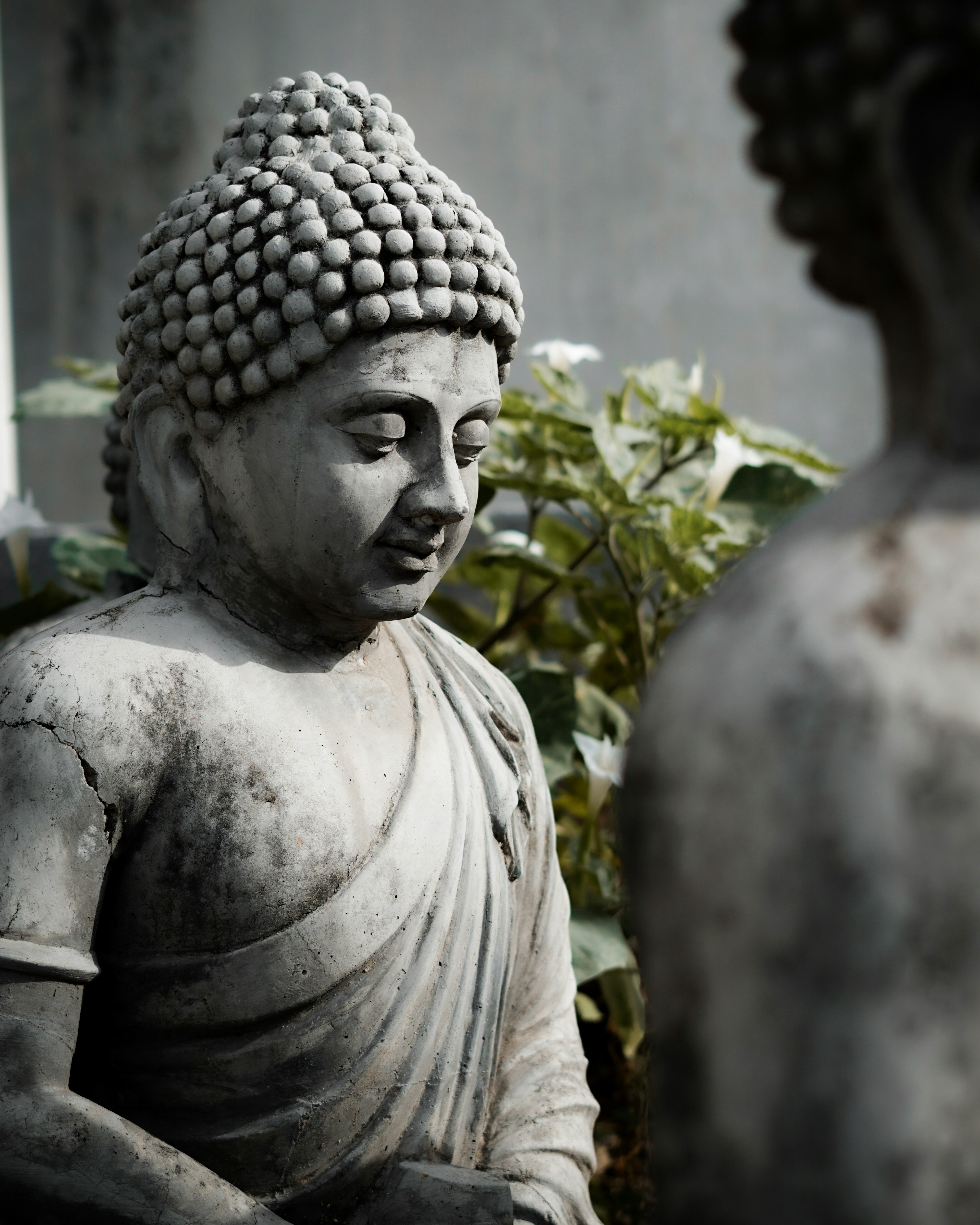 Religious traditions many of the most astoundingly beautiful symbols, images, buildings, and artworks that ever existed. Buddhas, crosses, prayer: you can find gorgeous, high-resolution (and free to use) images of all types and manner of religion on Unsplash.