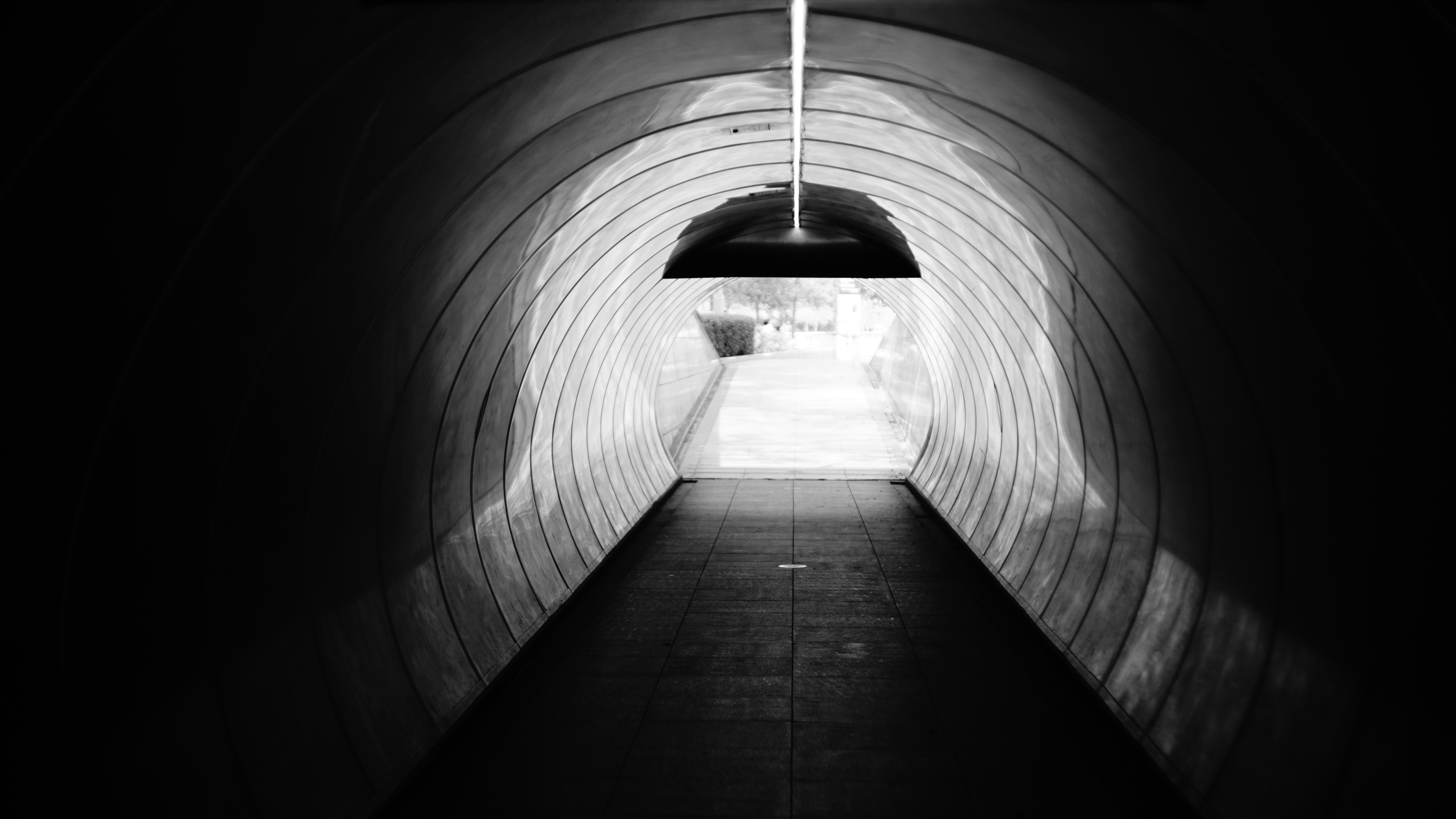 Photo by pixelcarrot