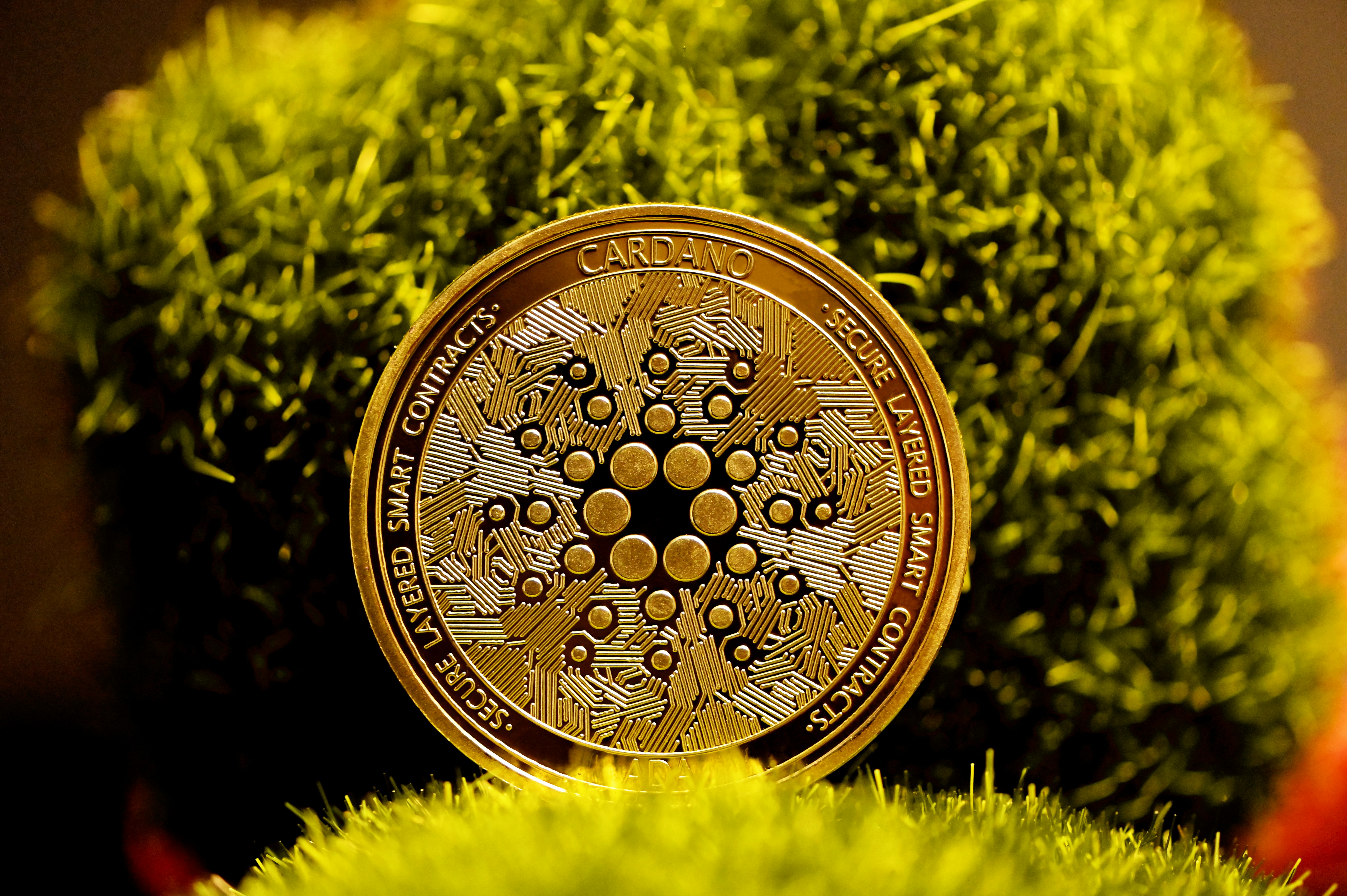 gold round coin on green grass