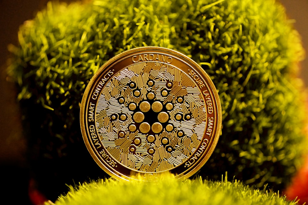 gold round coin on green grass