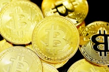 Several gold coins with the Bitcoin symbol prominently displayed across their surfaces. The coins are layered and overlapping, creating a rich and textured appearance.