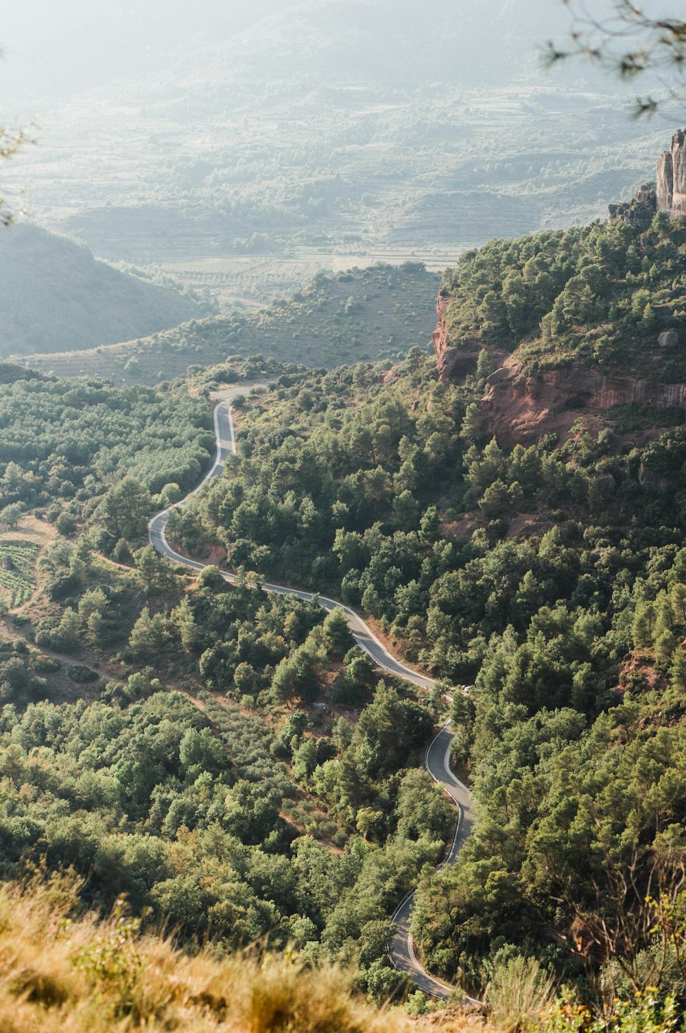 aerial view of green trees and mountains during daytime