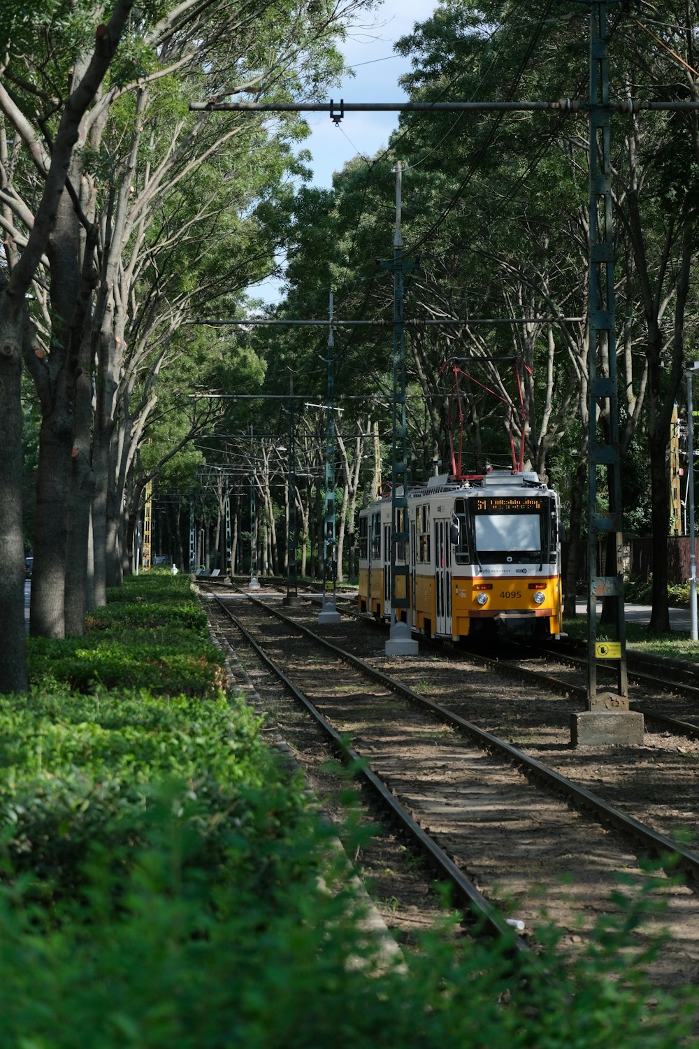 trem amarelo e vermelho em trilhos ferroviários cercados por árvores verdes durante o dia