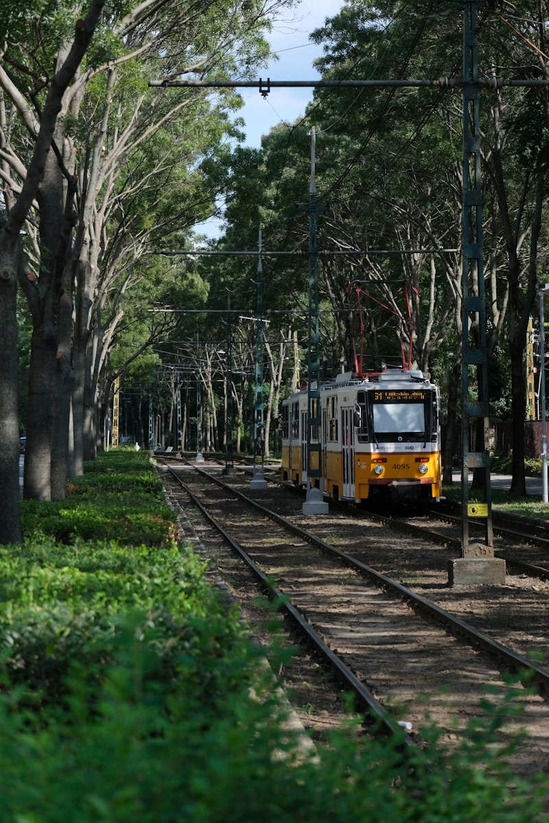 Cable Car & Mount Isabel de Torres