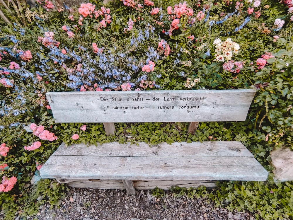 white wooden bench surrounded by pink and white flowers