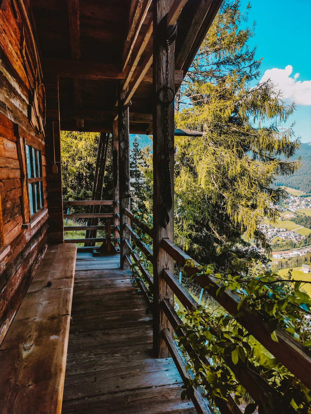 Puente de madera marrón cerca de árboles verdes durante el día