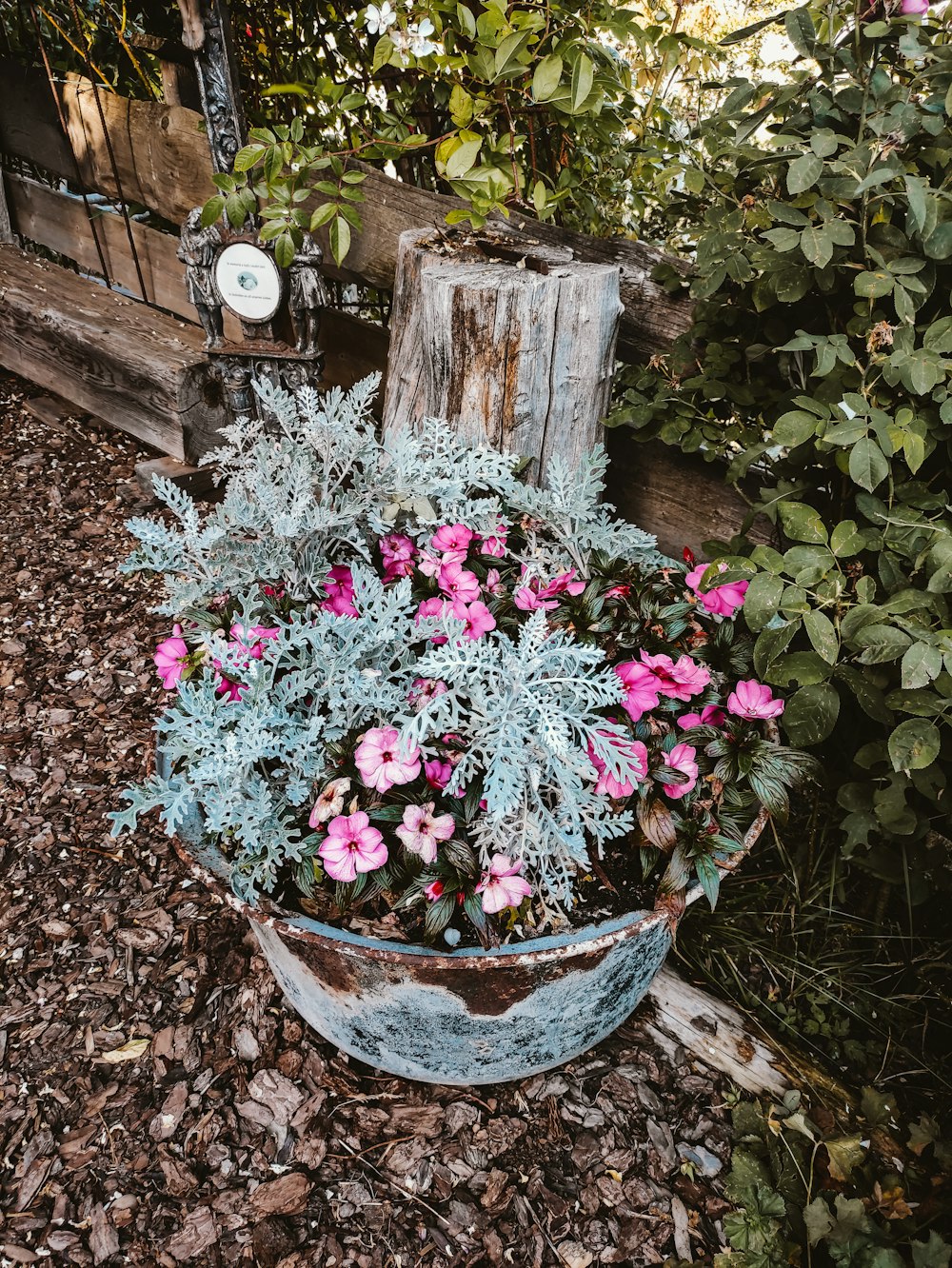 fleurs roses et blanches dans un vase en céramique bleu