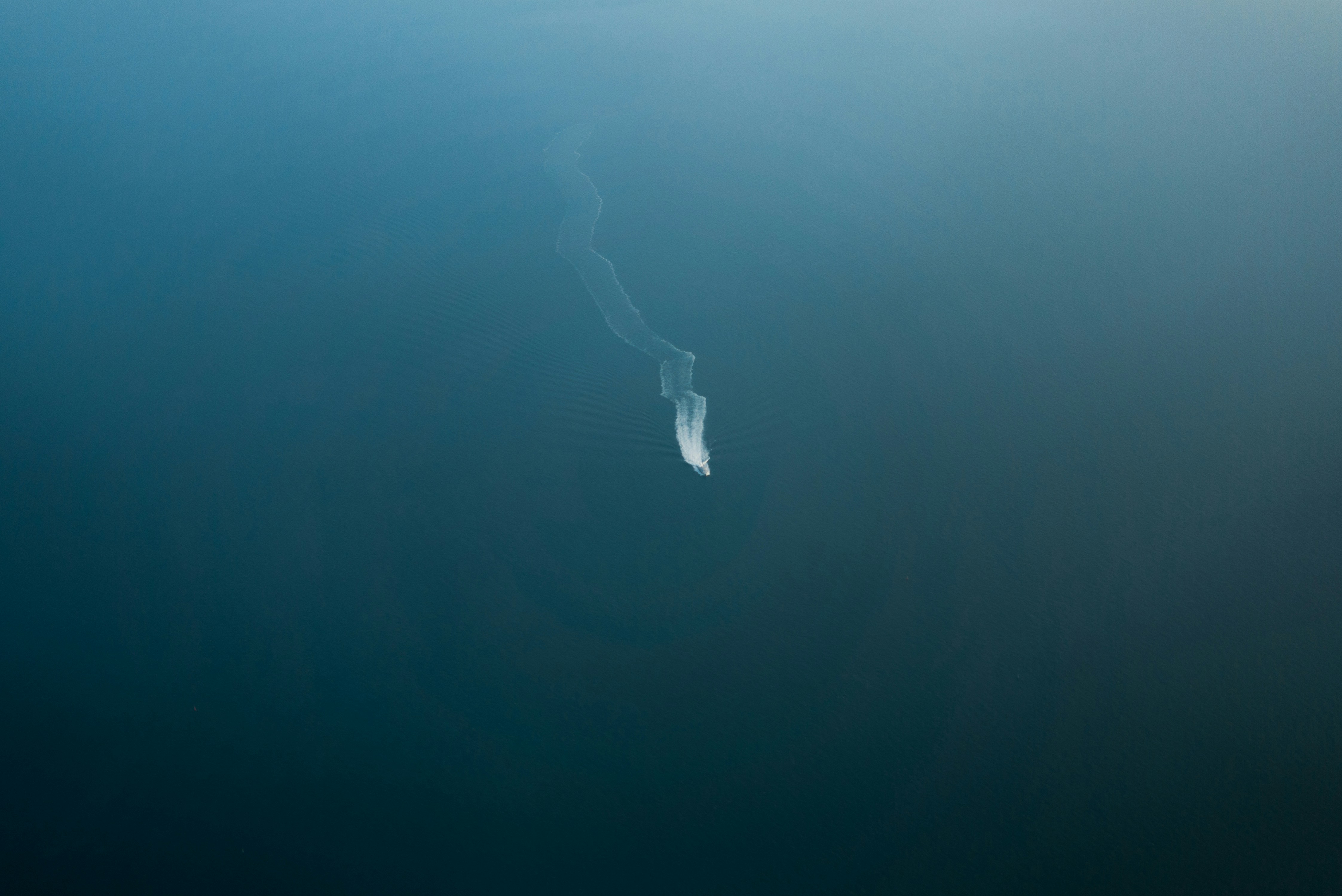 a boat in the middle of the seal