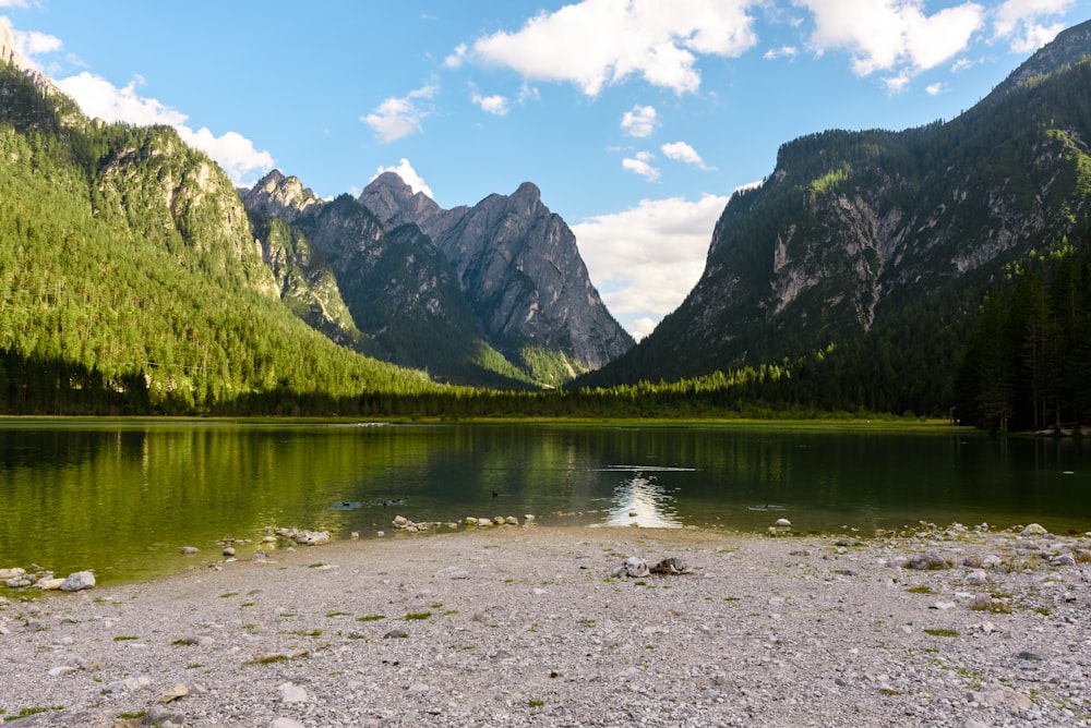 lake near green trees and mountain under blue sky during daytime