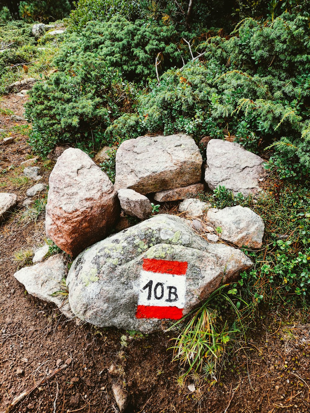 gray and red rock near green plants during daytime