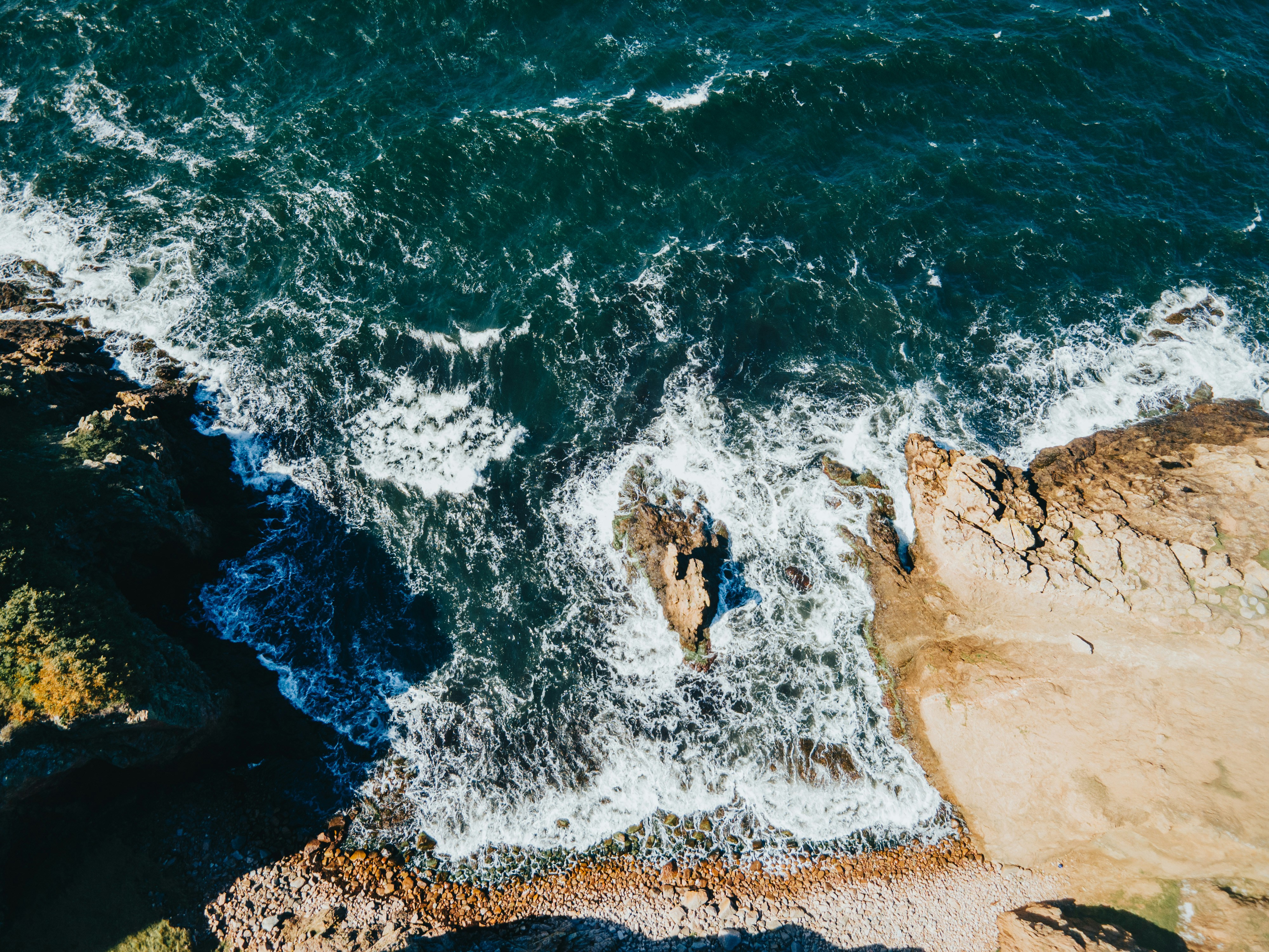 Photo by vanpanashoots