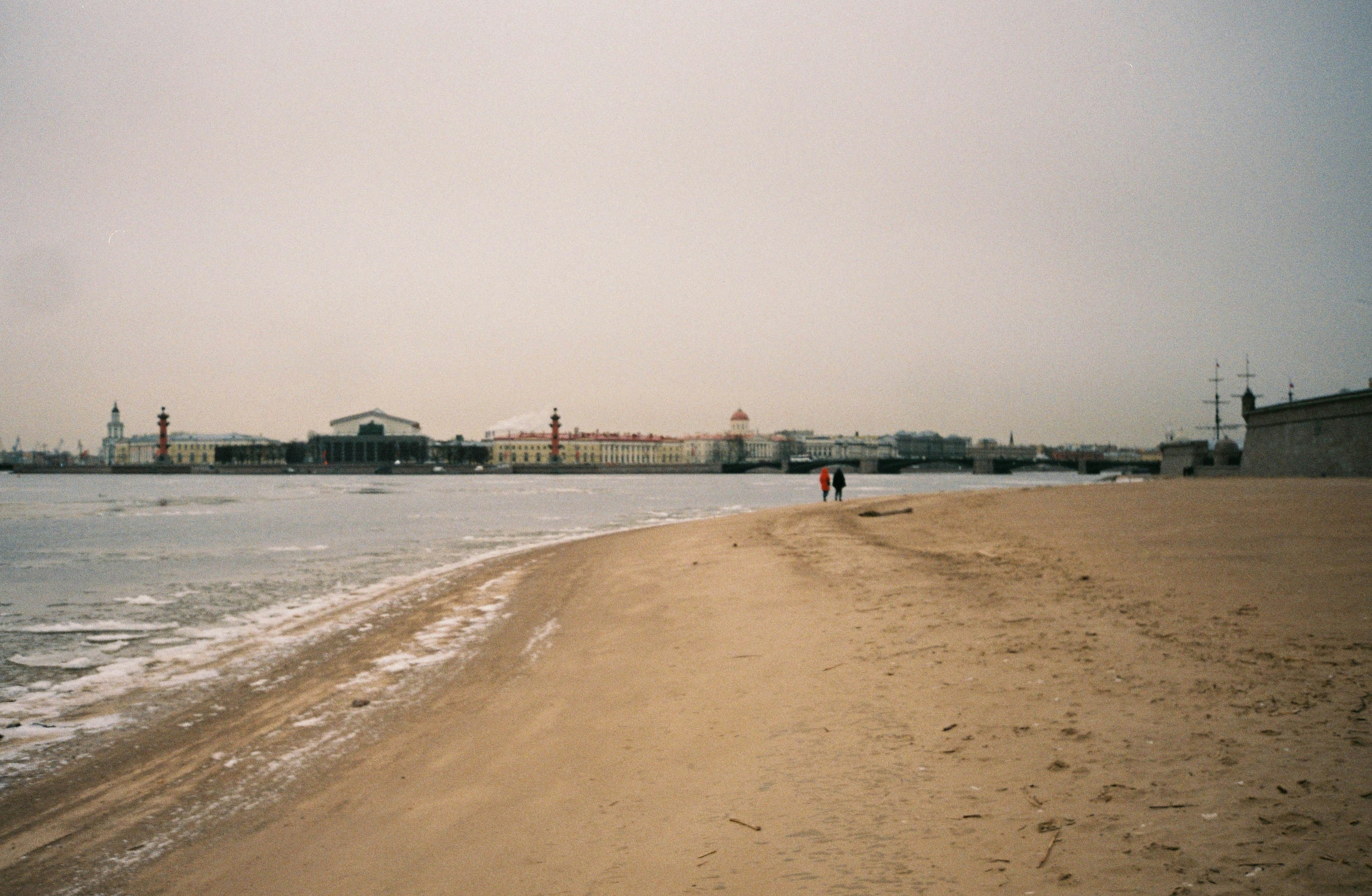 people walking on beach during daytime