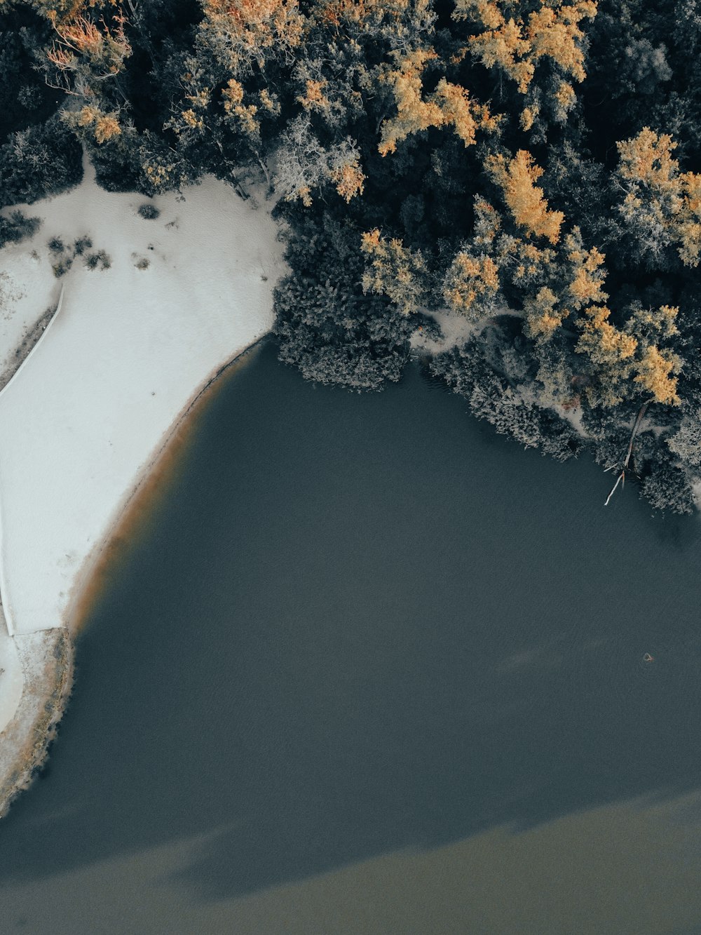 aerial view of snow covered trees and river