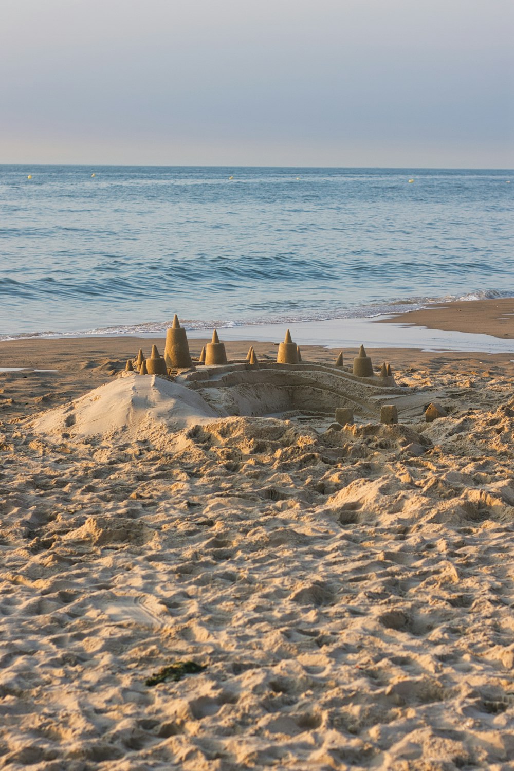 people on beach during daytime