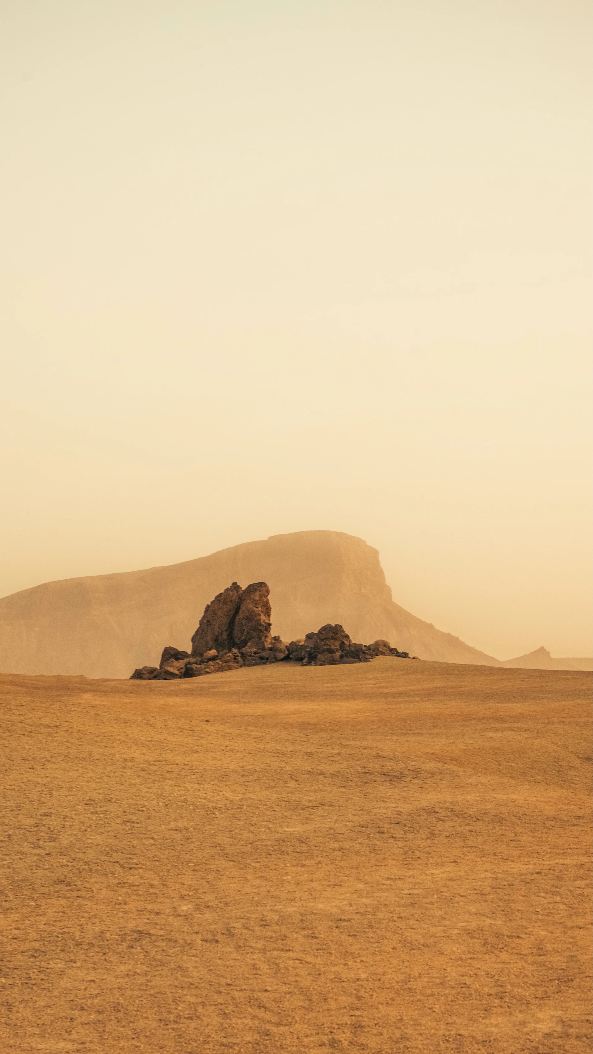brown rock formation on brown sand during daytime
