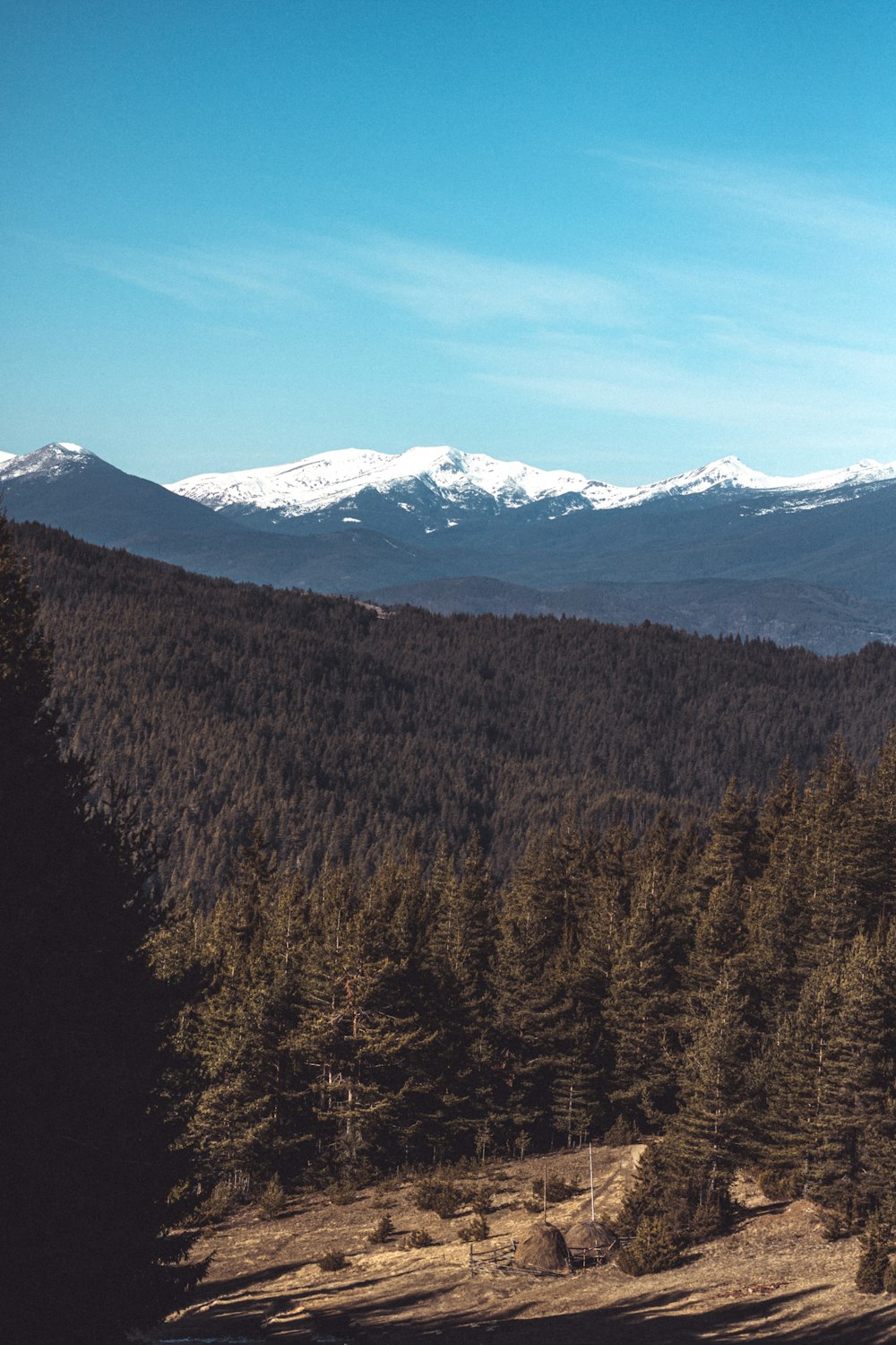 green and brown trees near mountain under blue sky during daytime