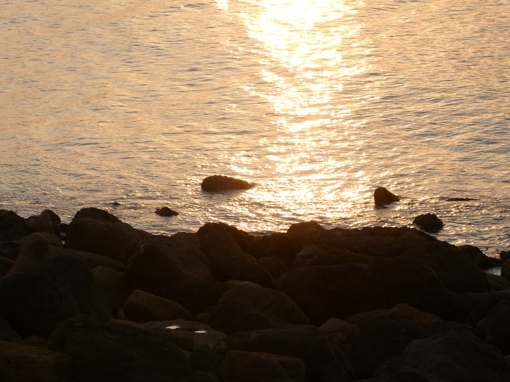 black rocks on sea shore during sunset