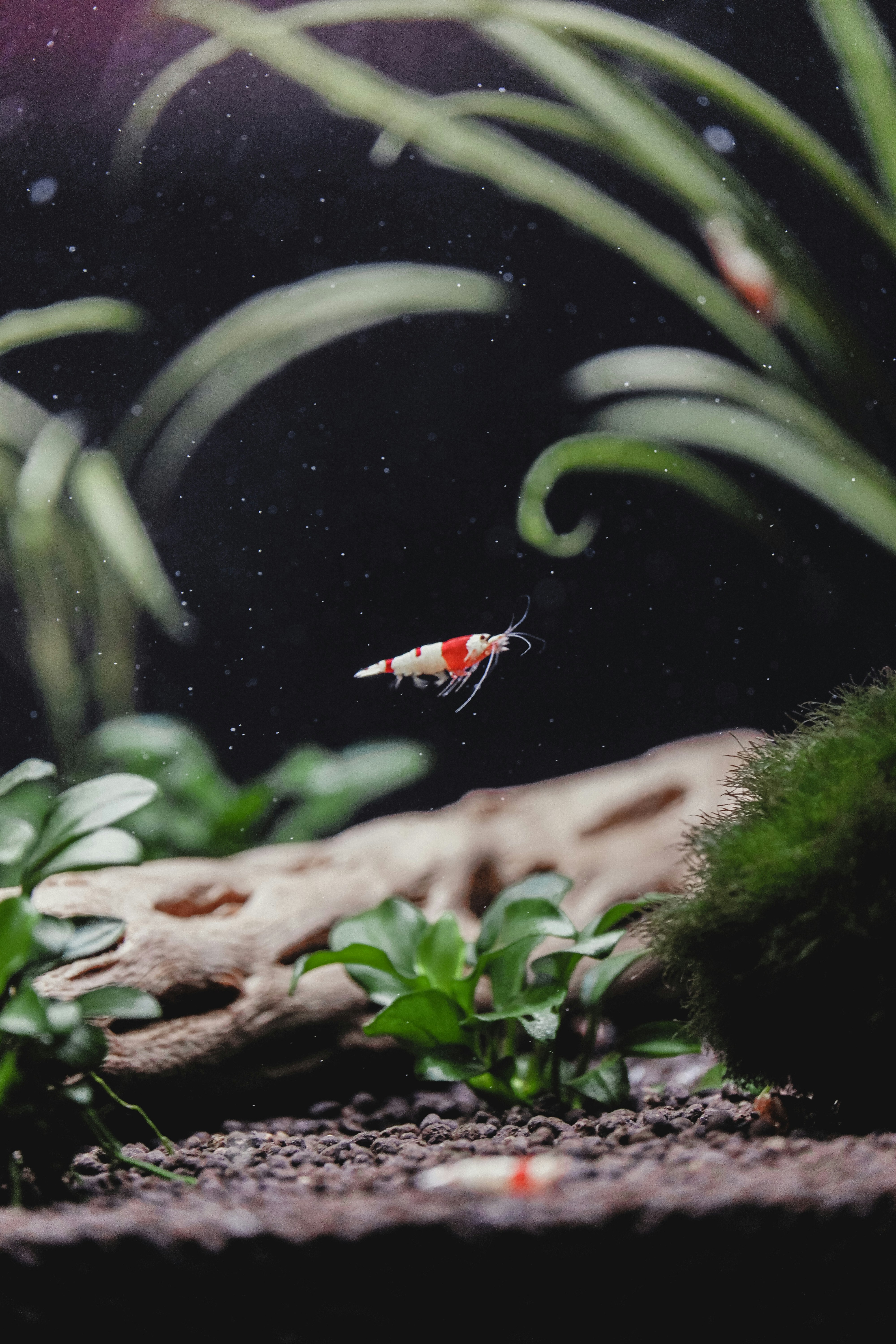 Photo by xiaowuuuuuuu