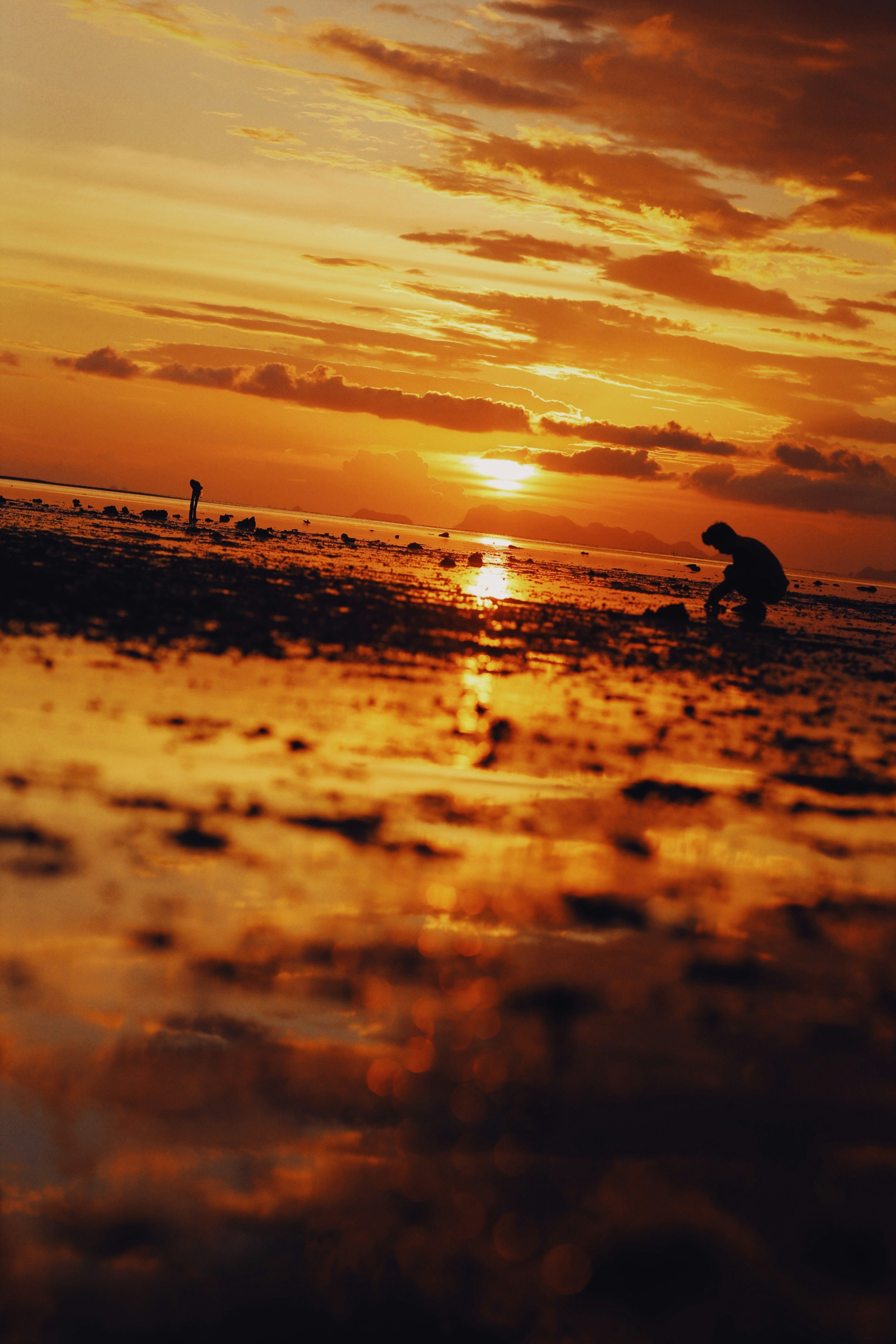 Photo by alexeydemidov