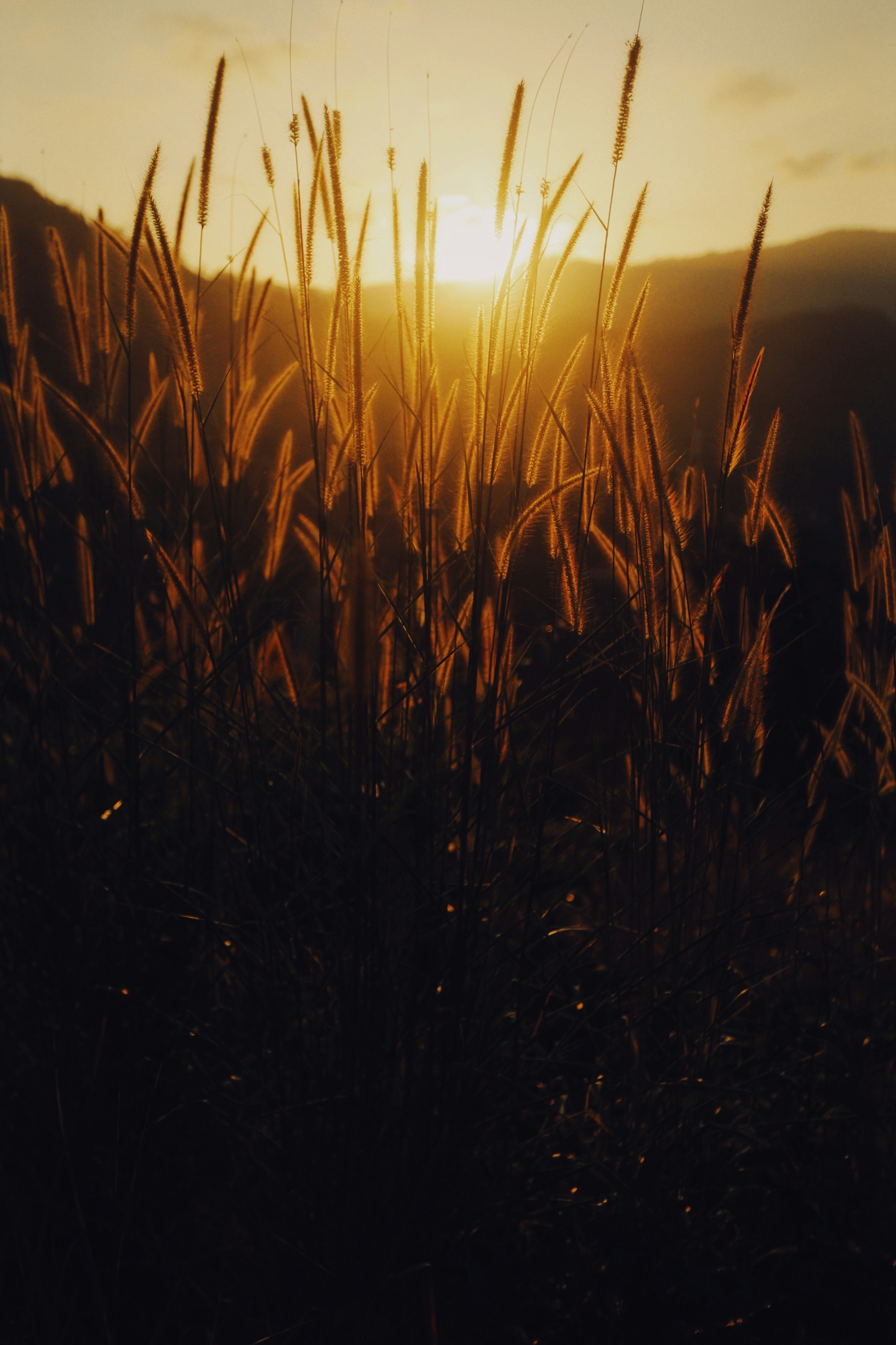 Photo by alexeydemidov