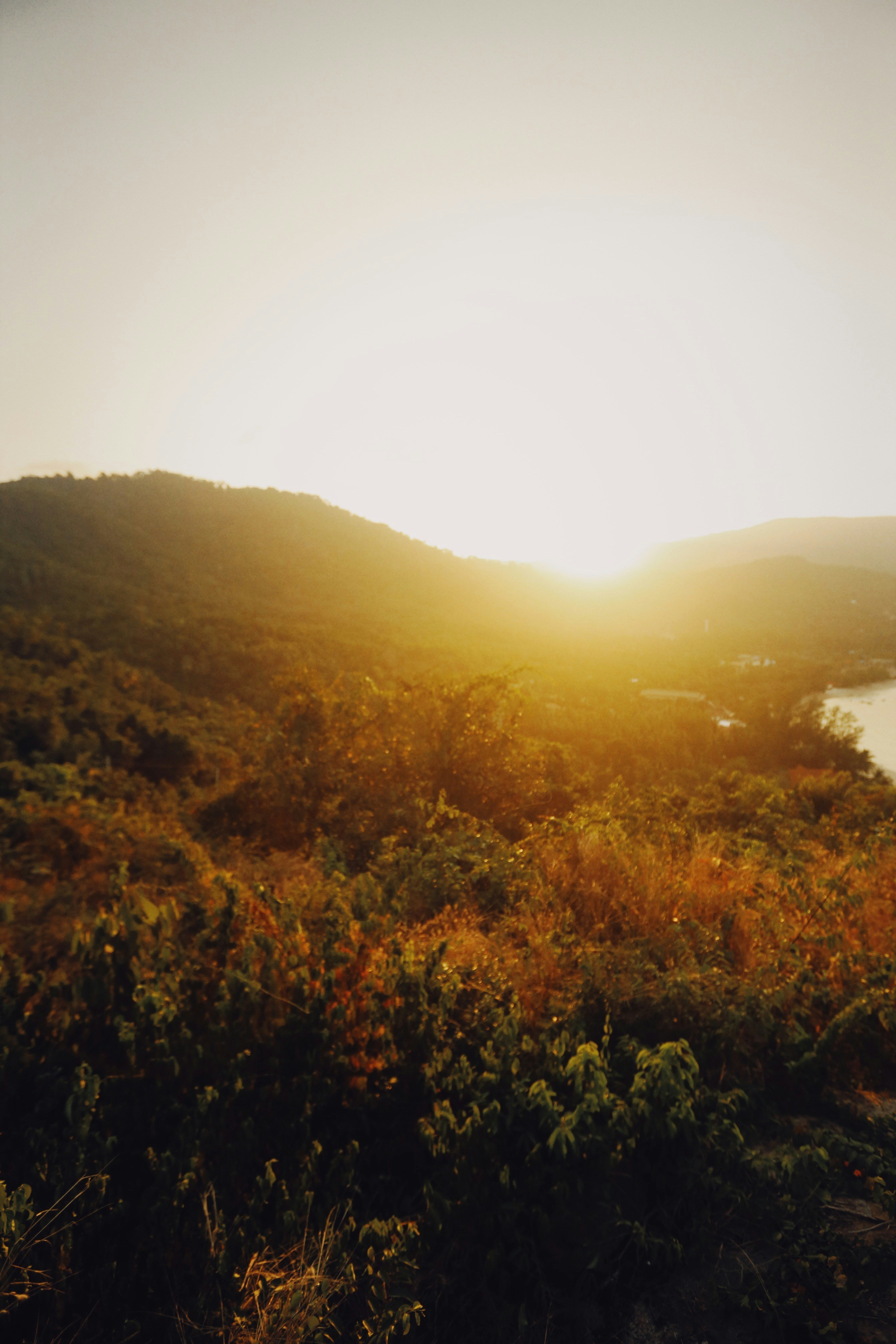 Photo by alexeydemidov