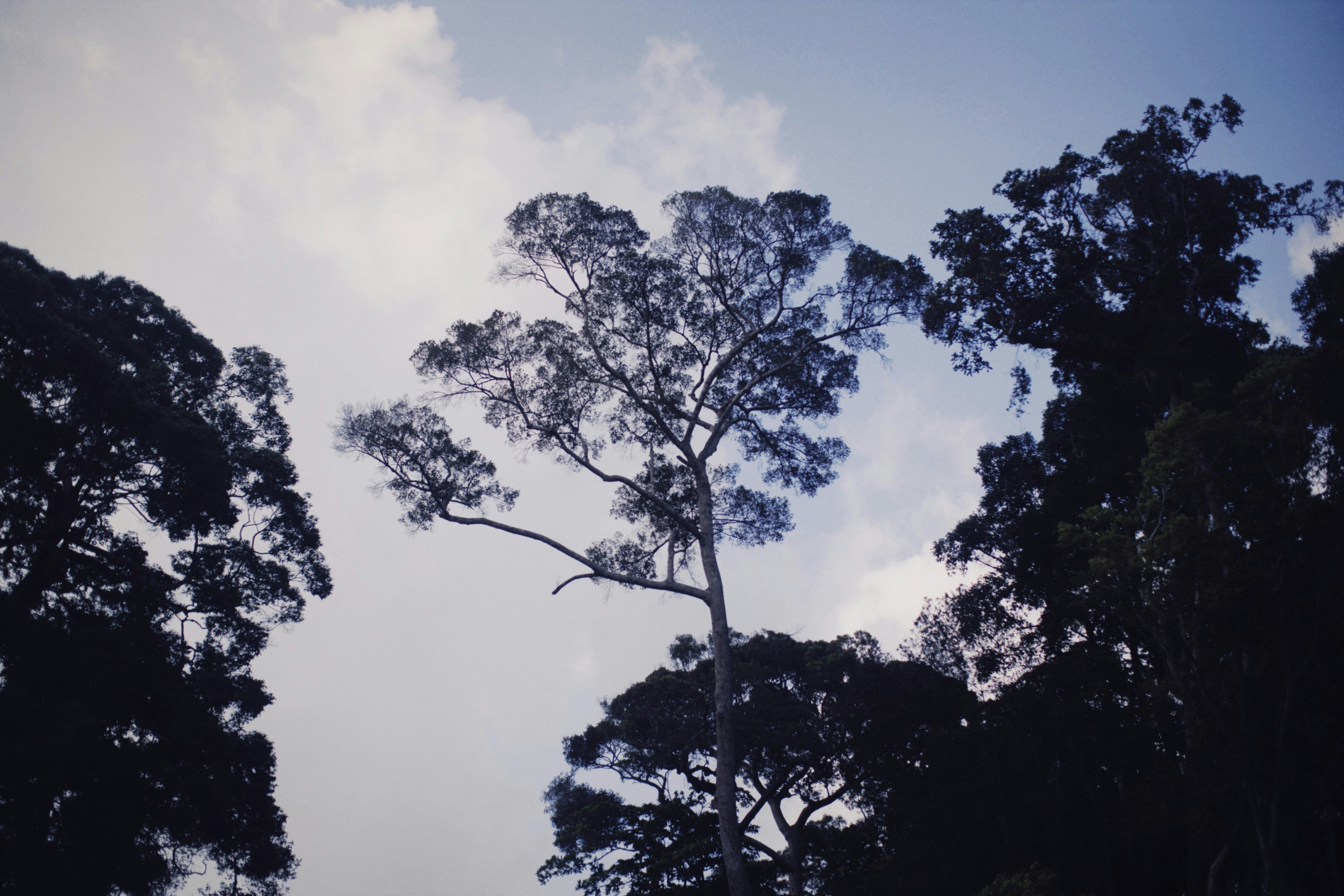 Photo by alexeydemidov