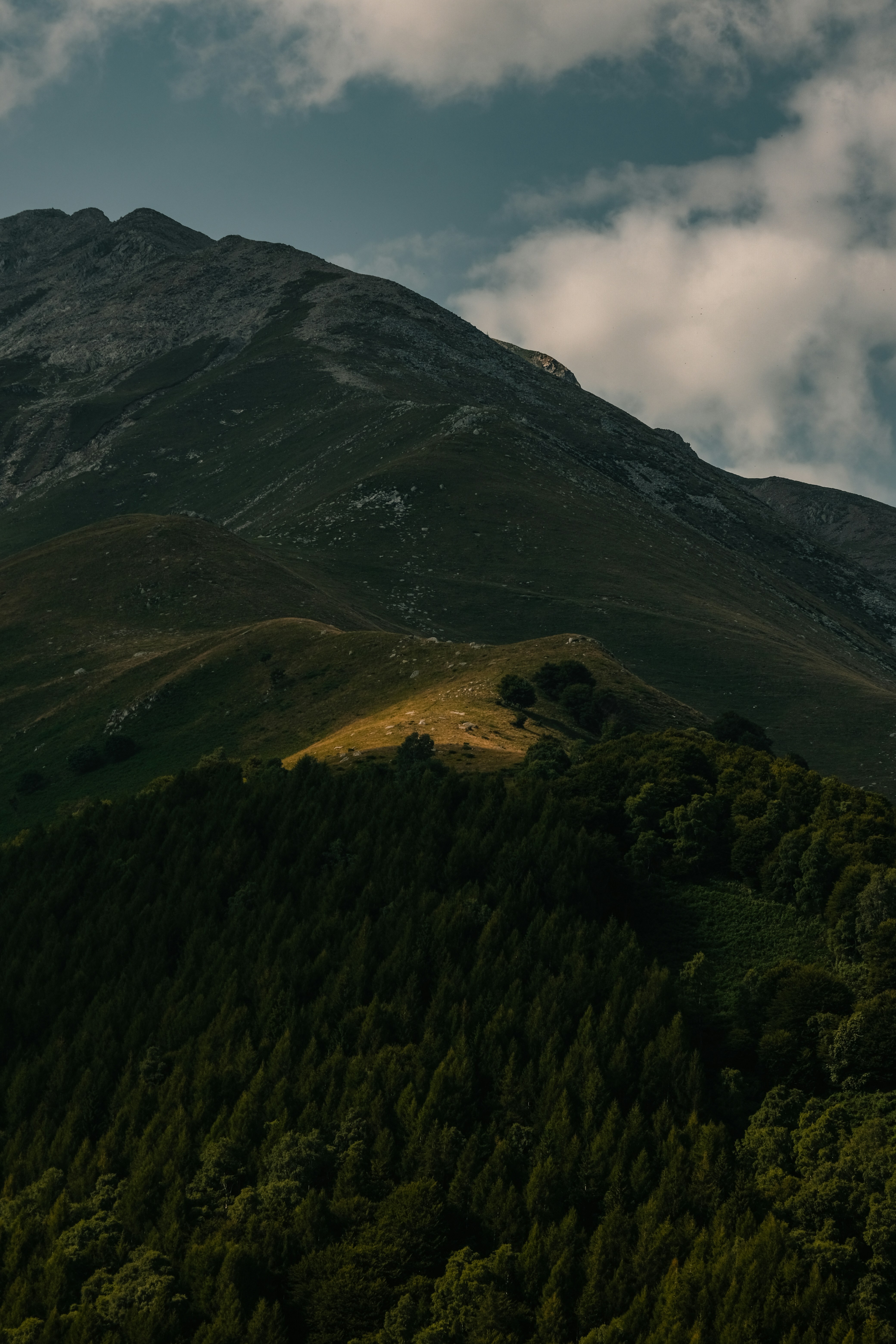 Photo by francesco_ungaro