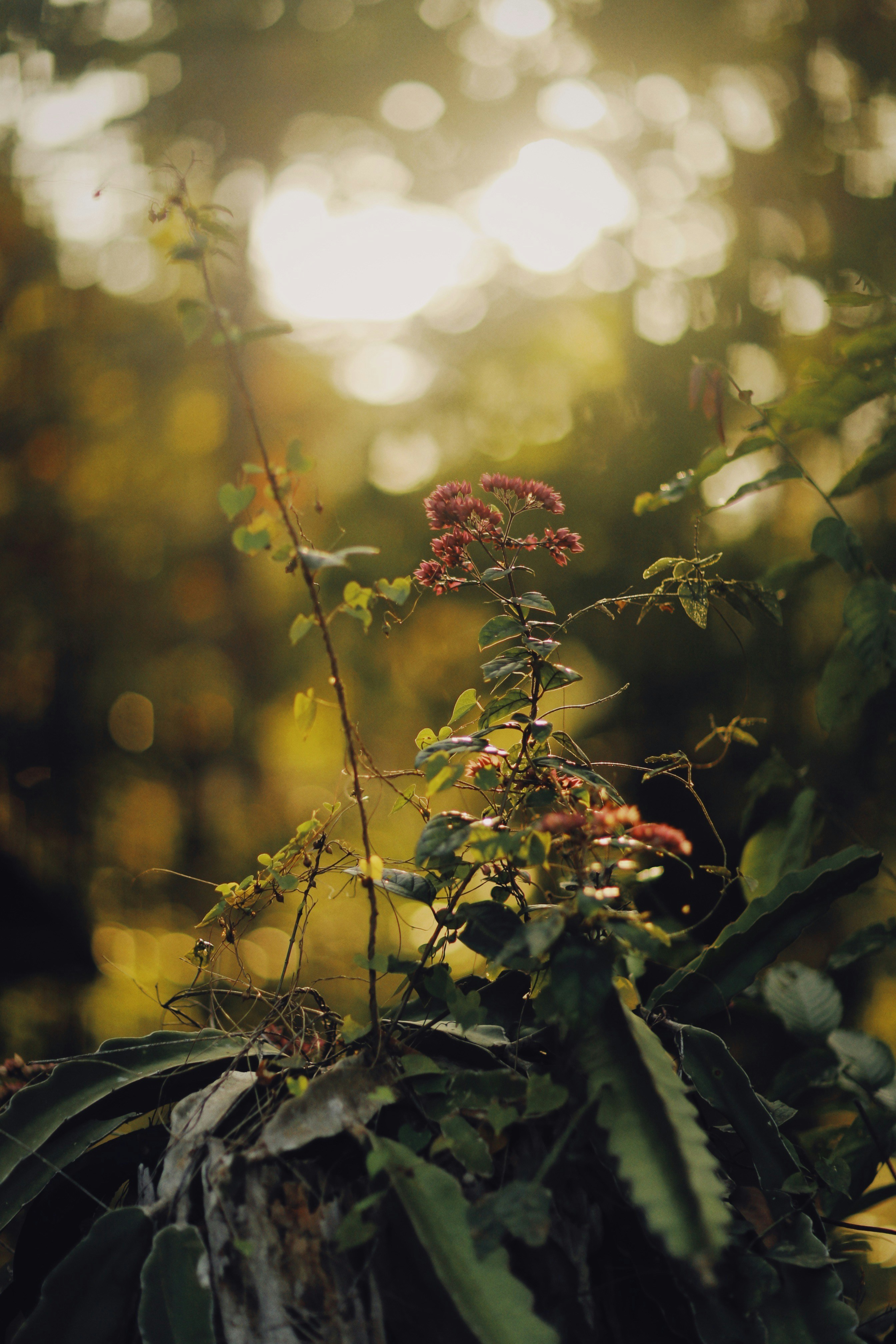 Photo by alexeydemidov